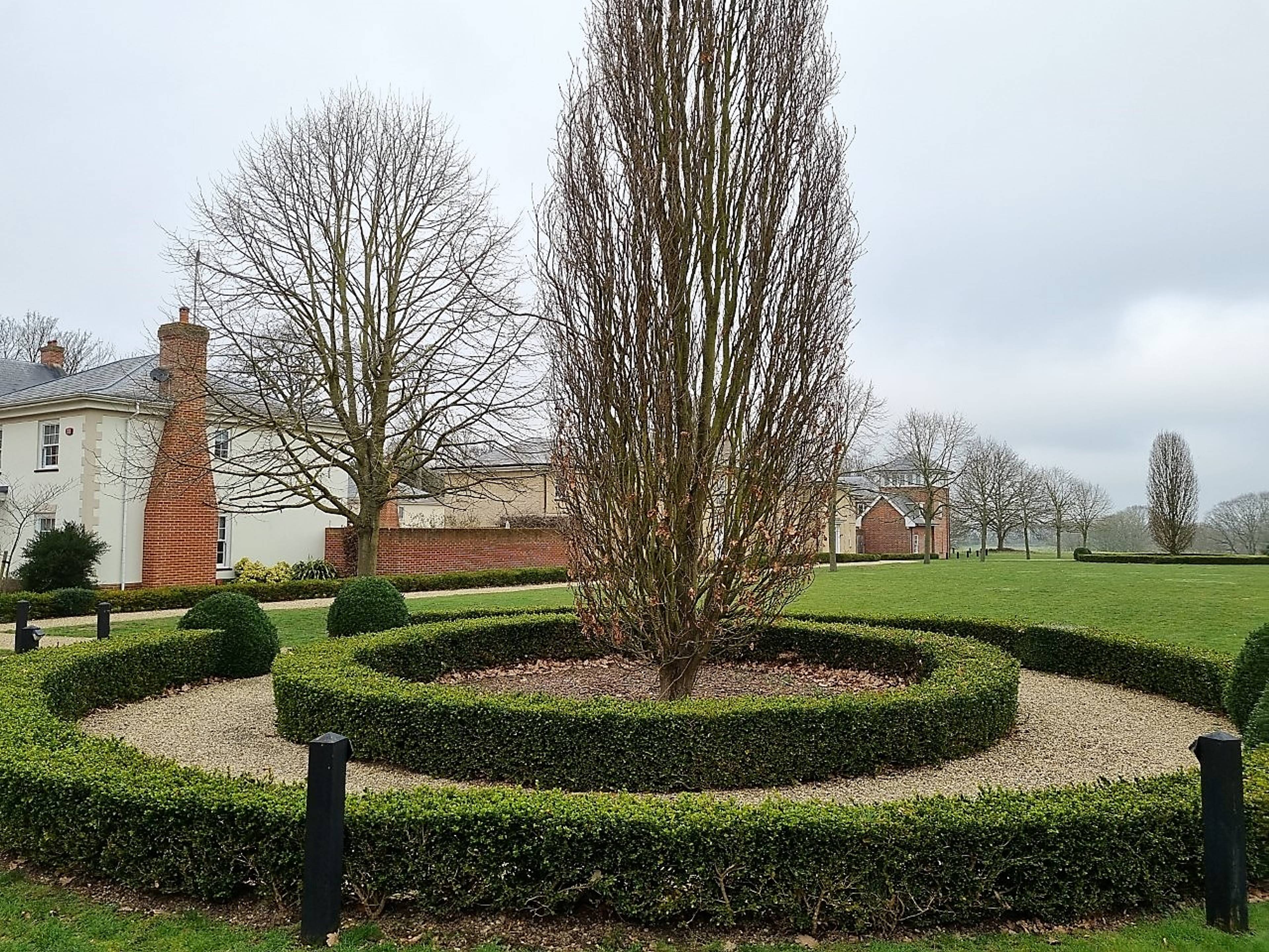 Communal Gardens
