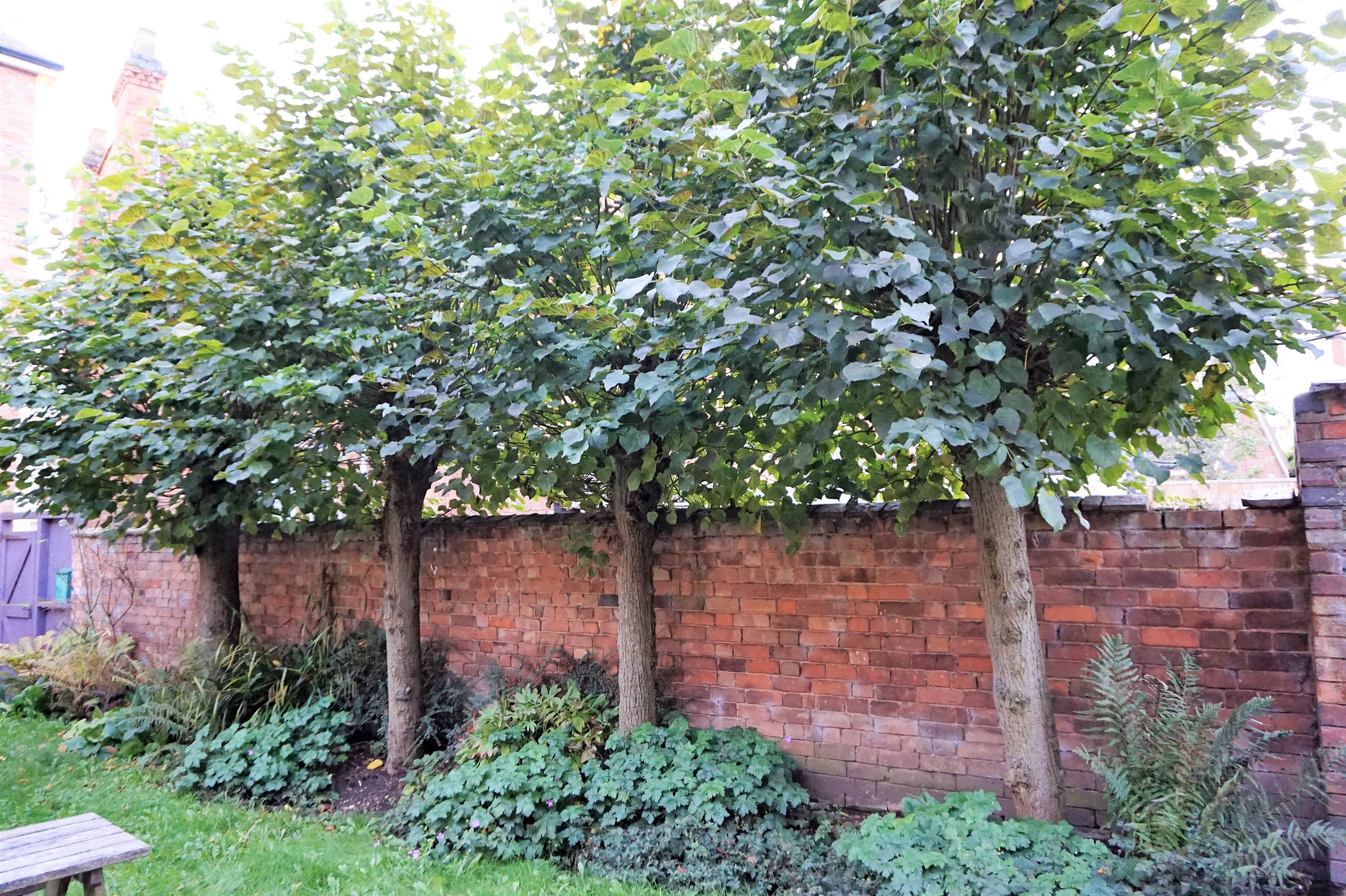 Communal Gardens