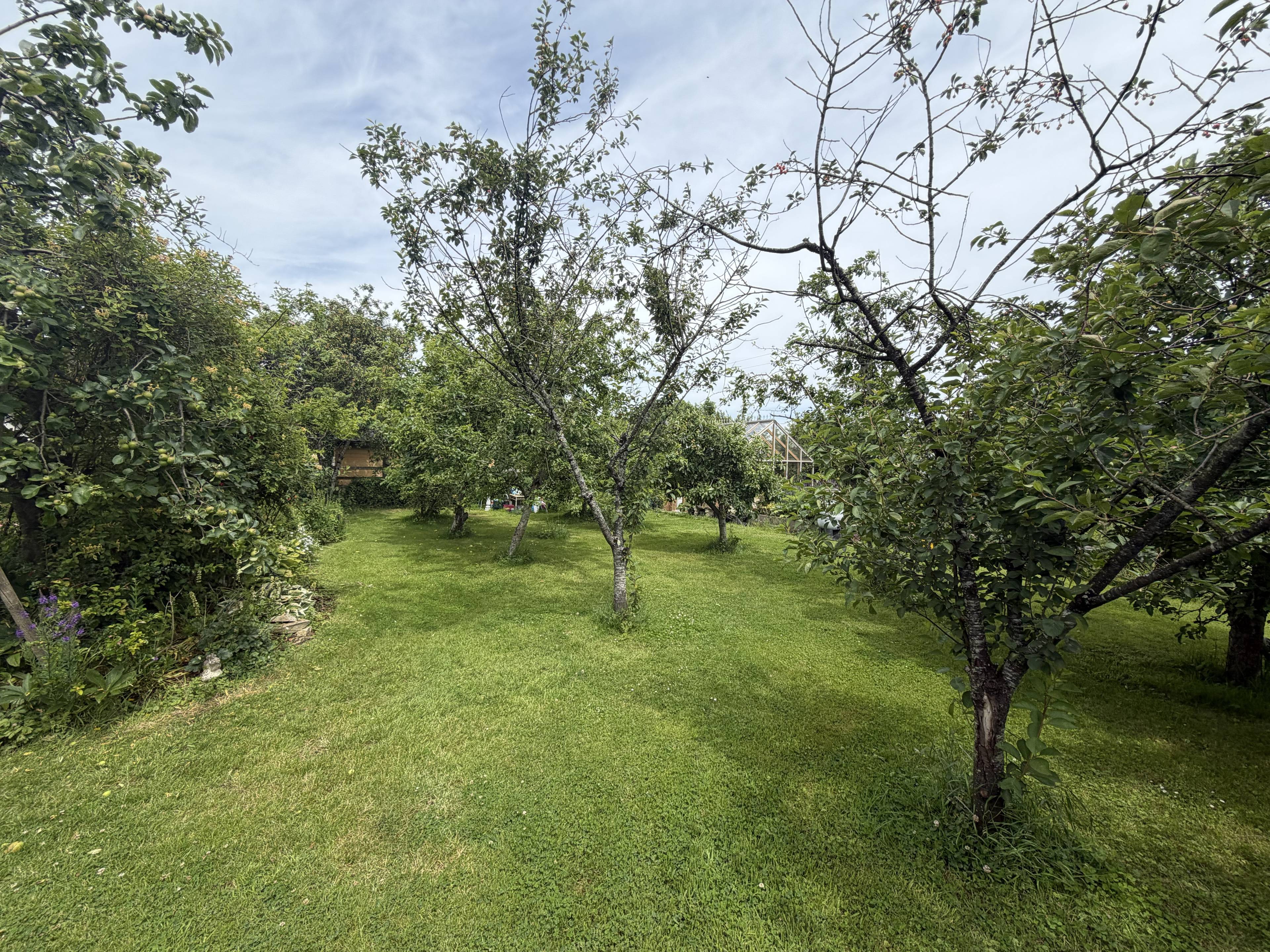 Orchard