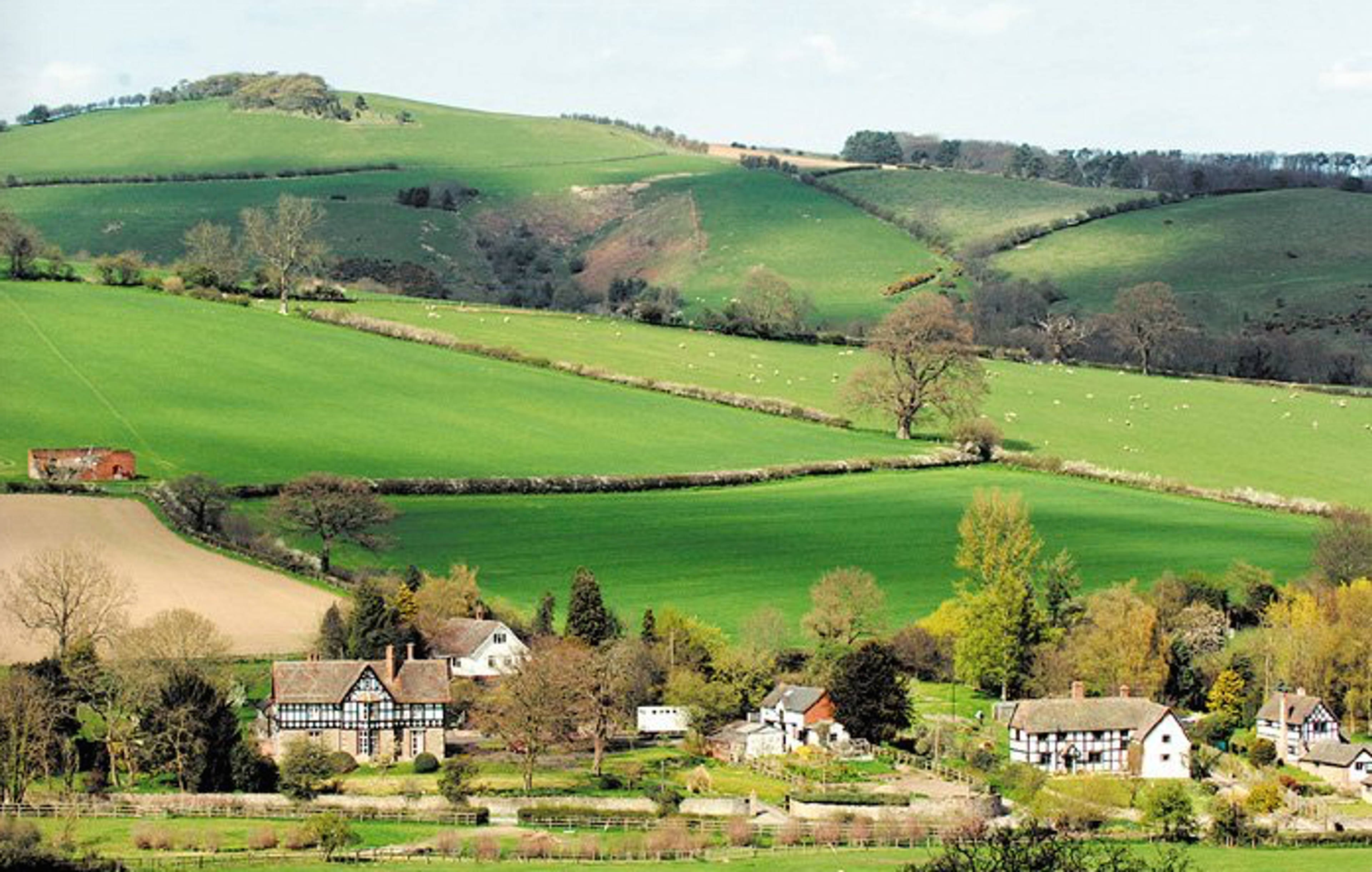 The Village