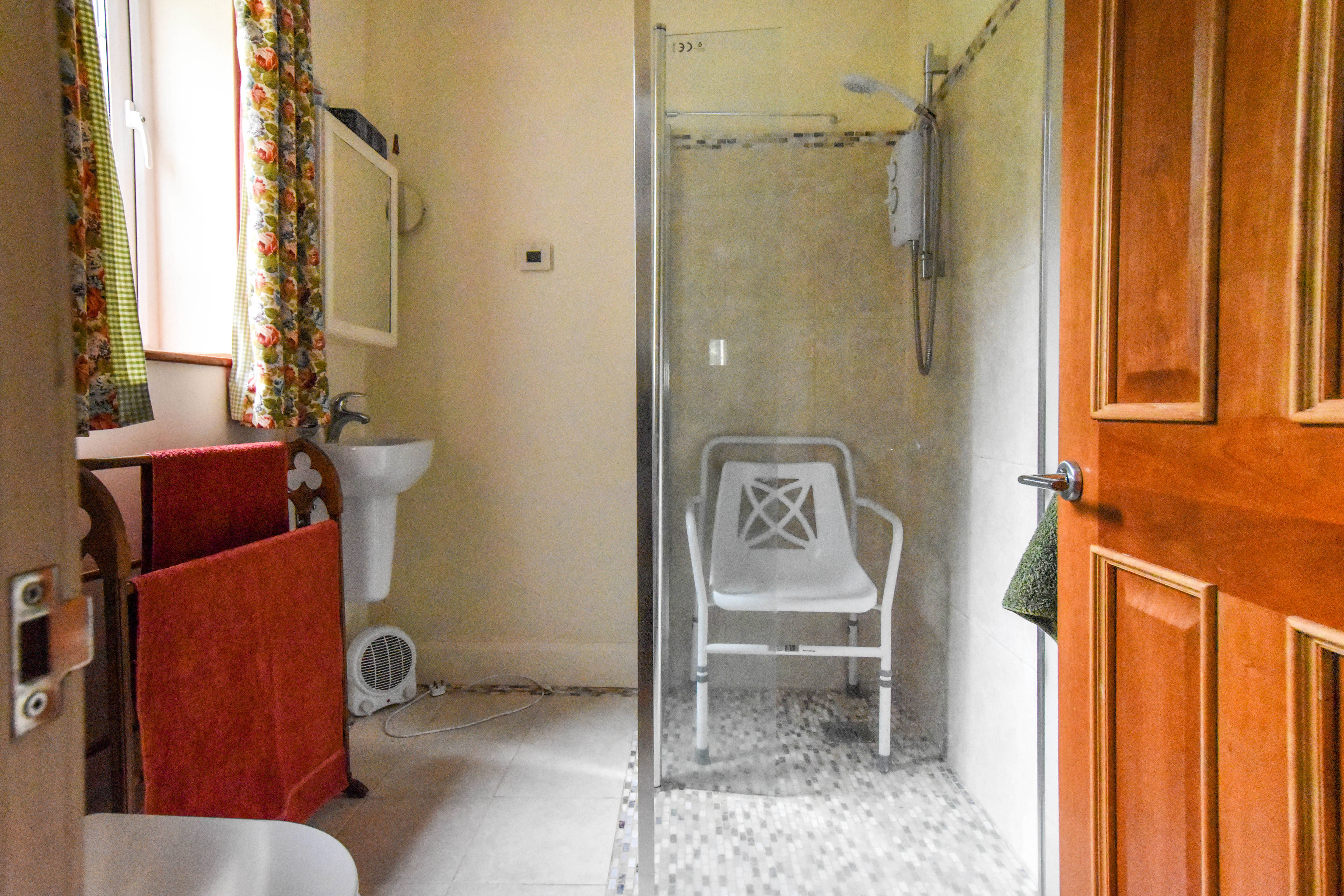 Downstairs Shower