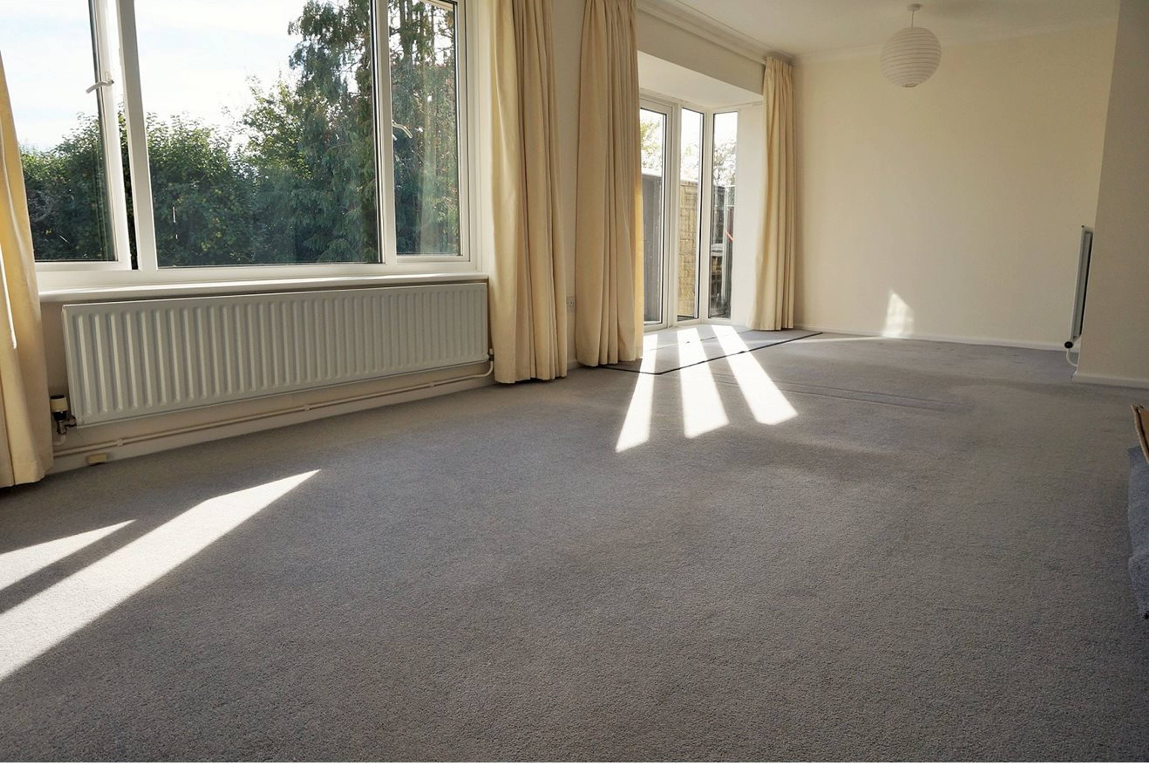 Living / Dining Room