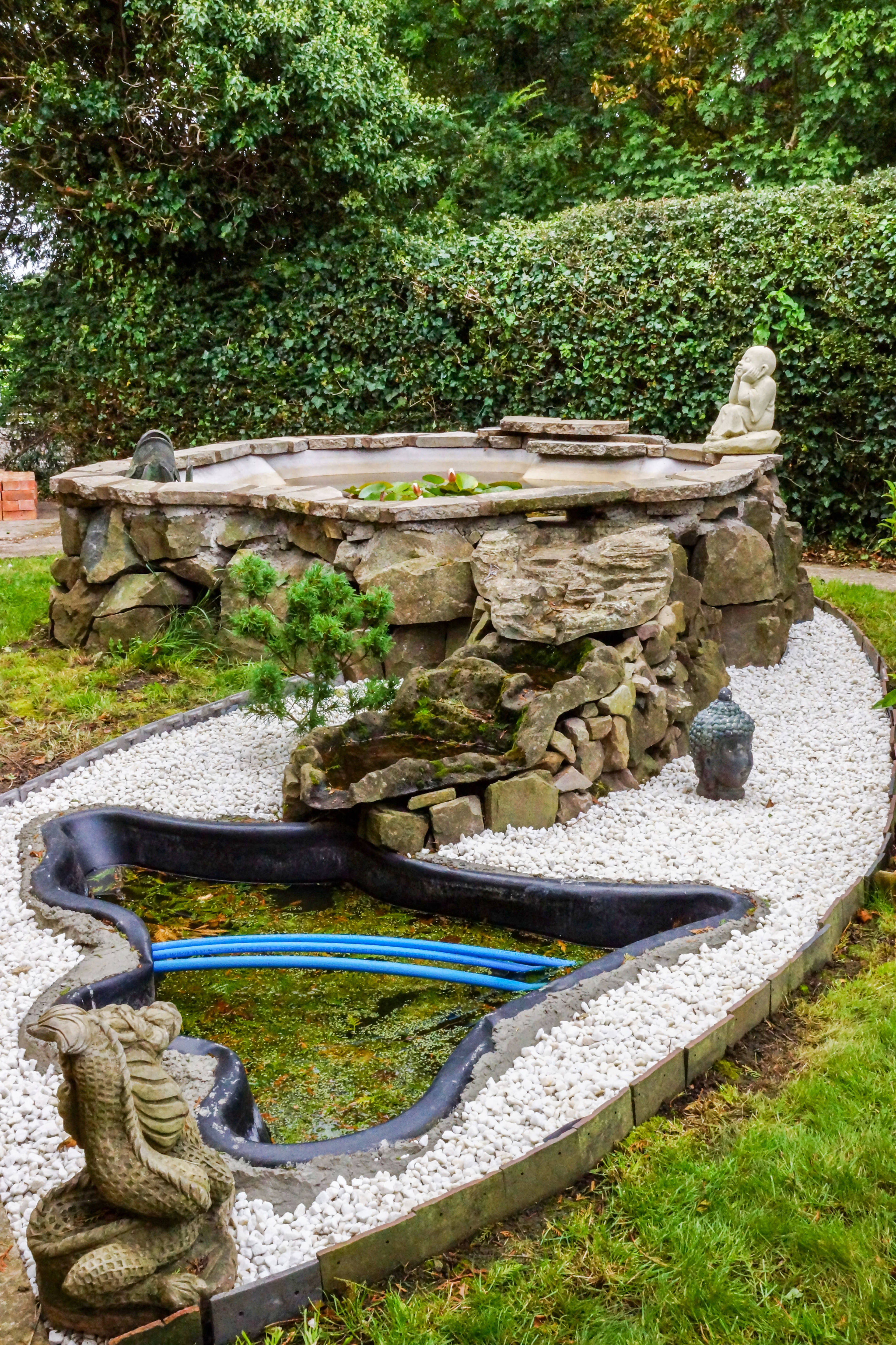 Pond