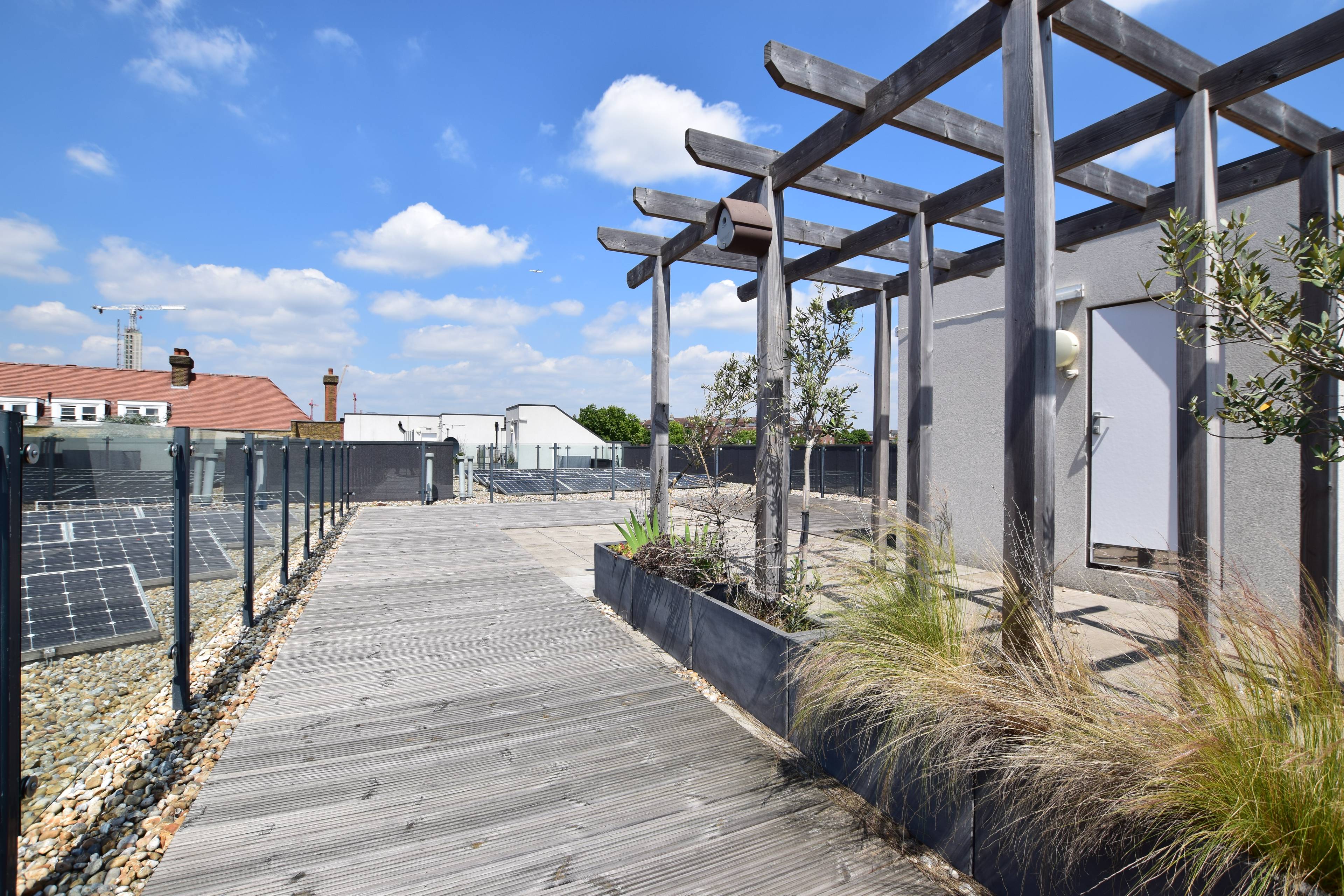 Roof Terrace