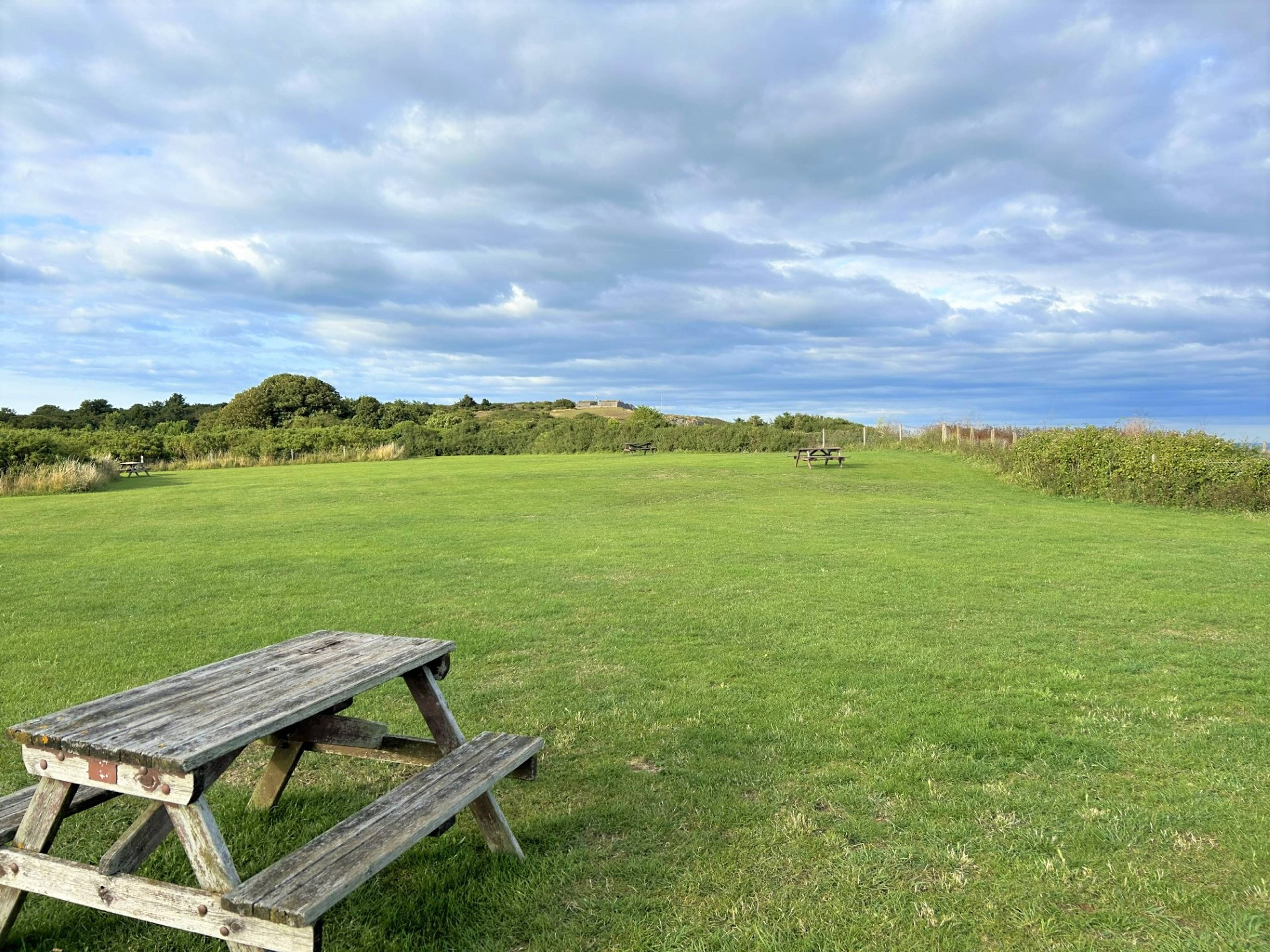 The Park
