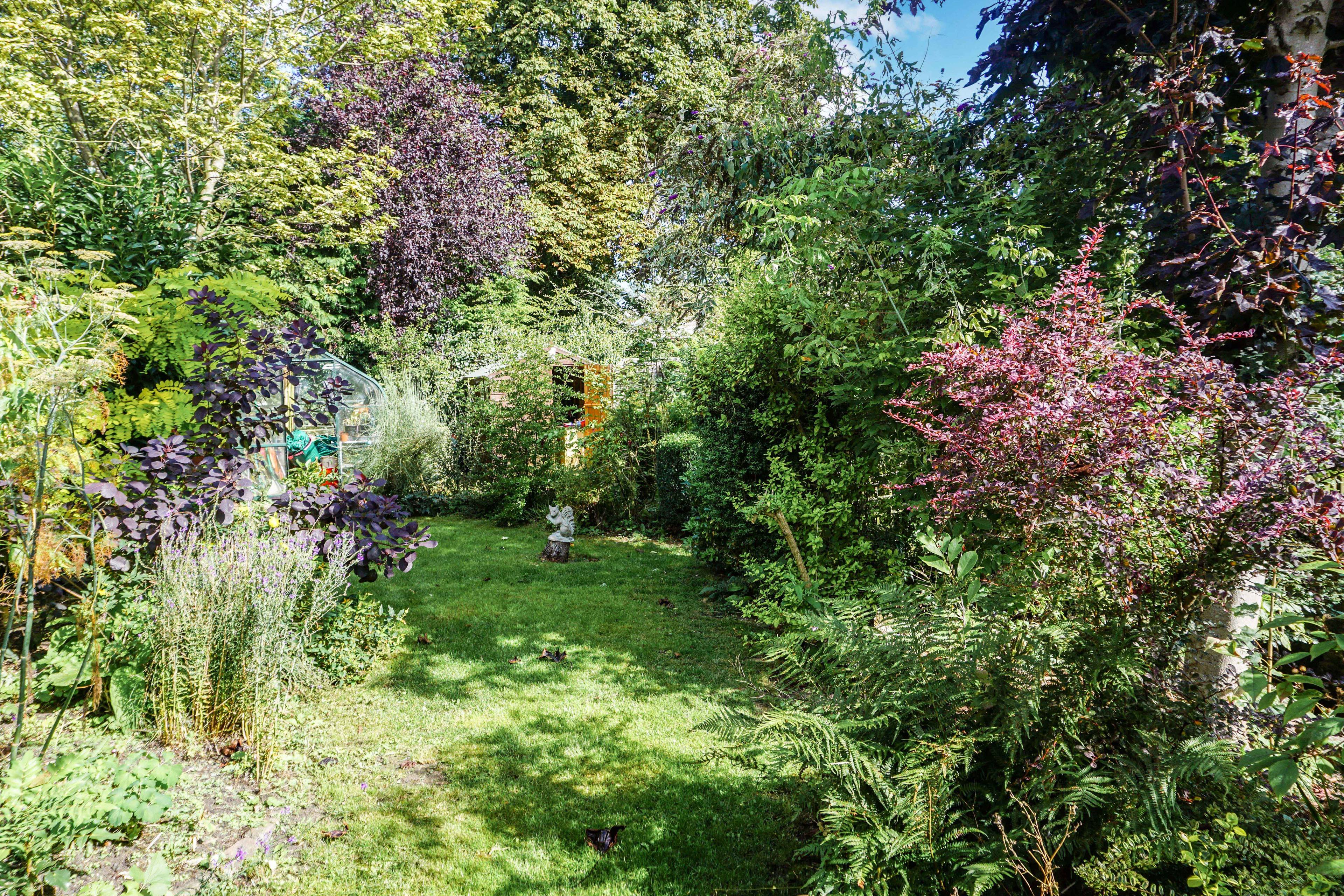 Side Garden