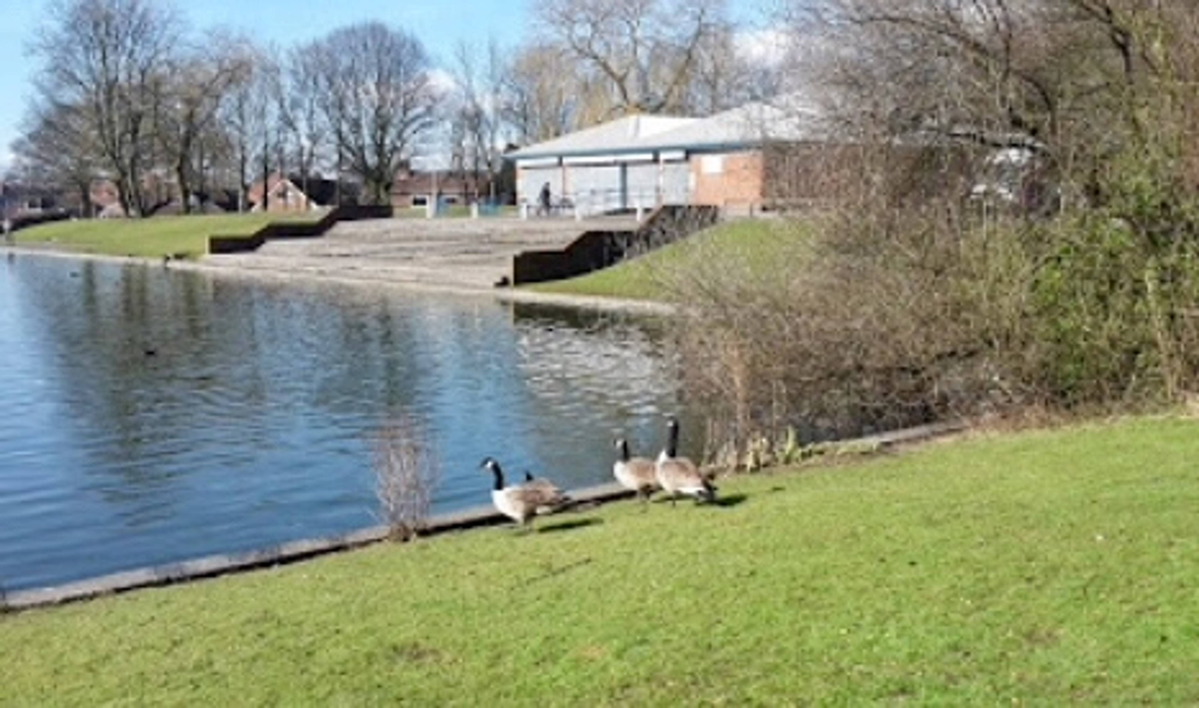 Surrounding Area