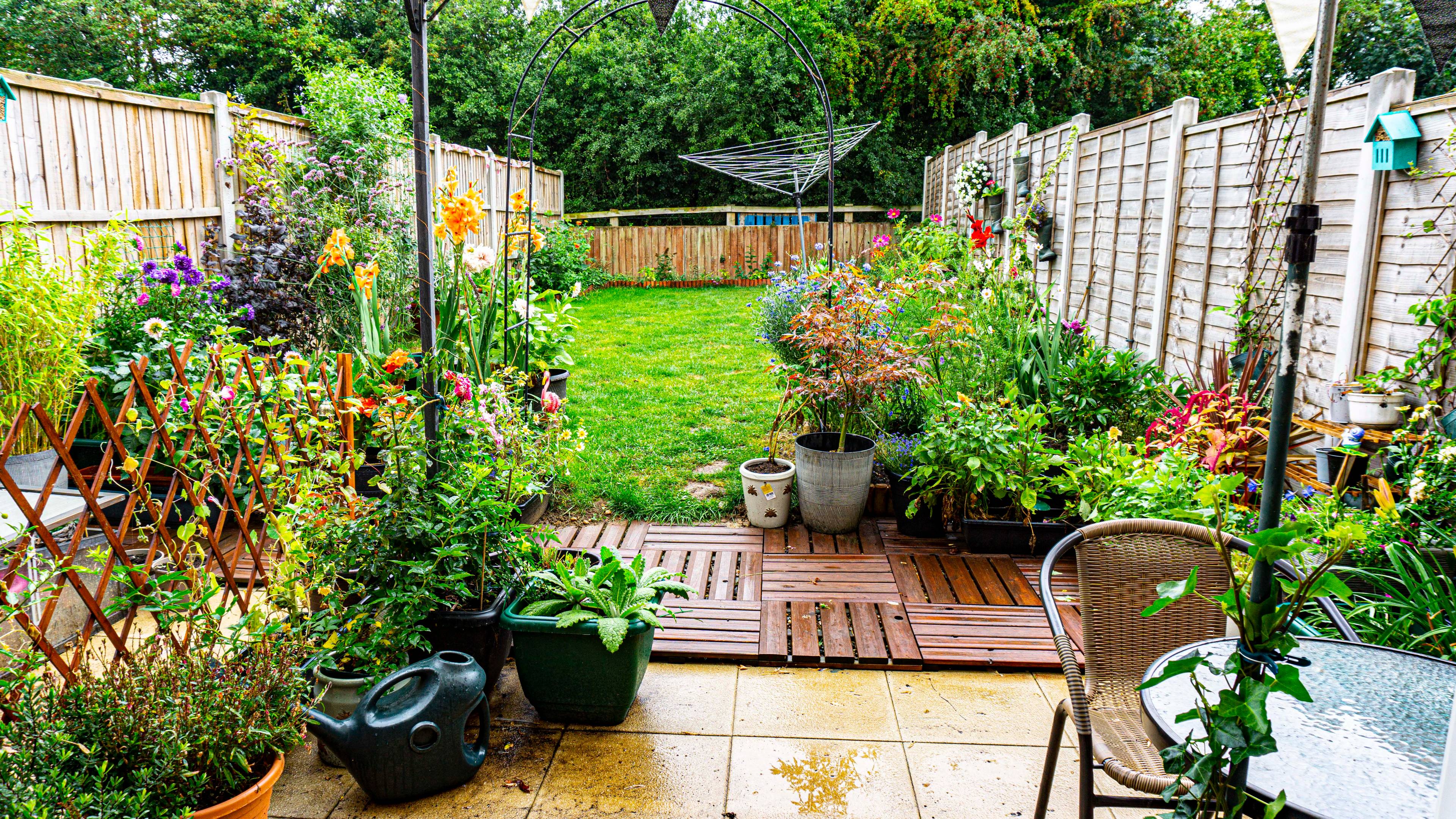 Garden
