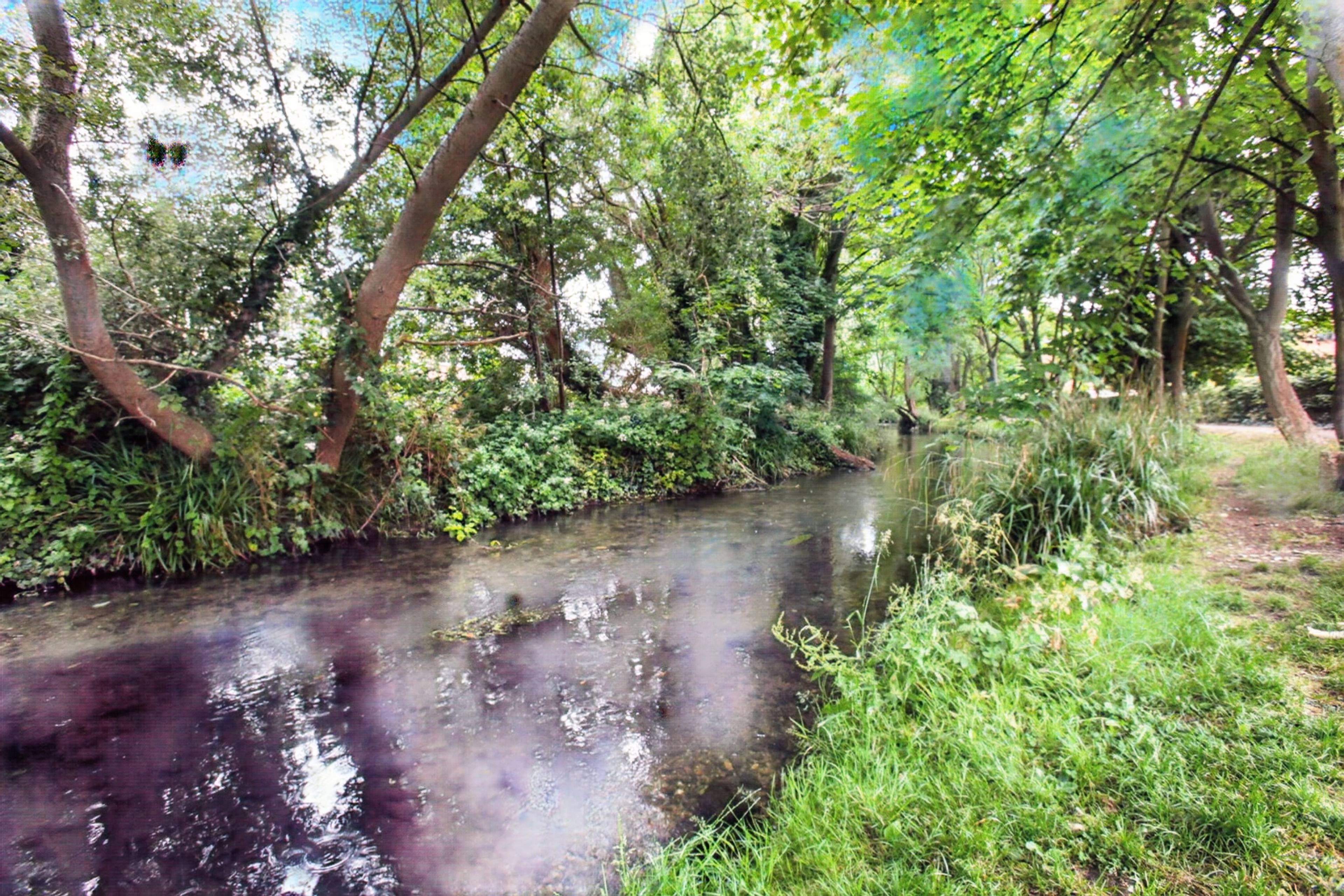 Nearby River