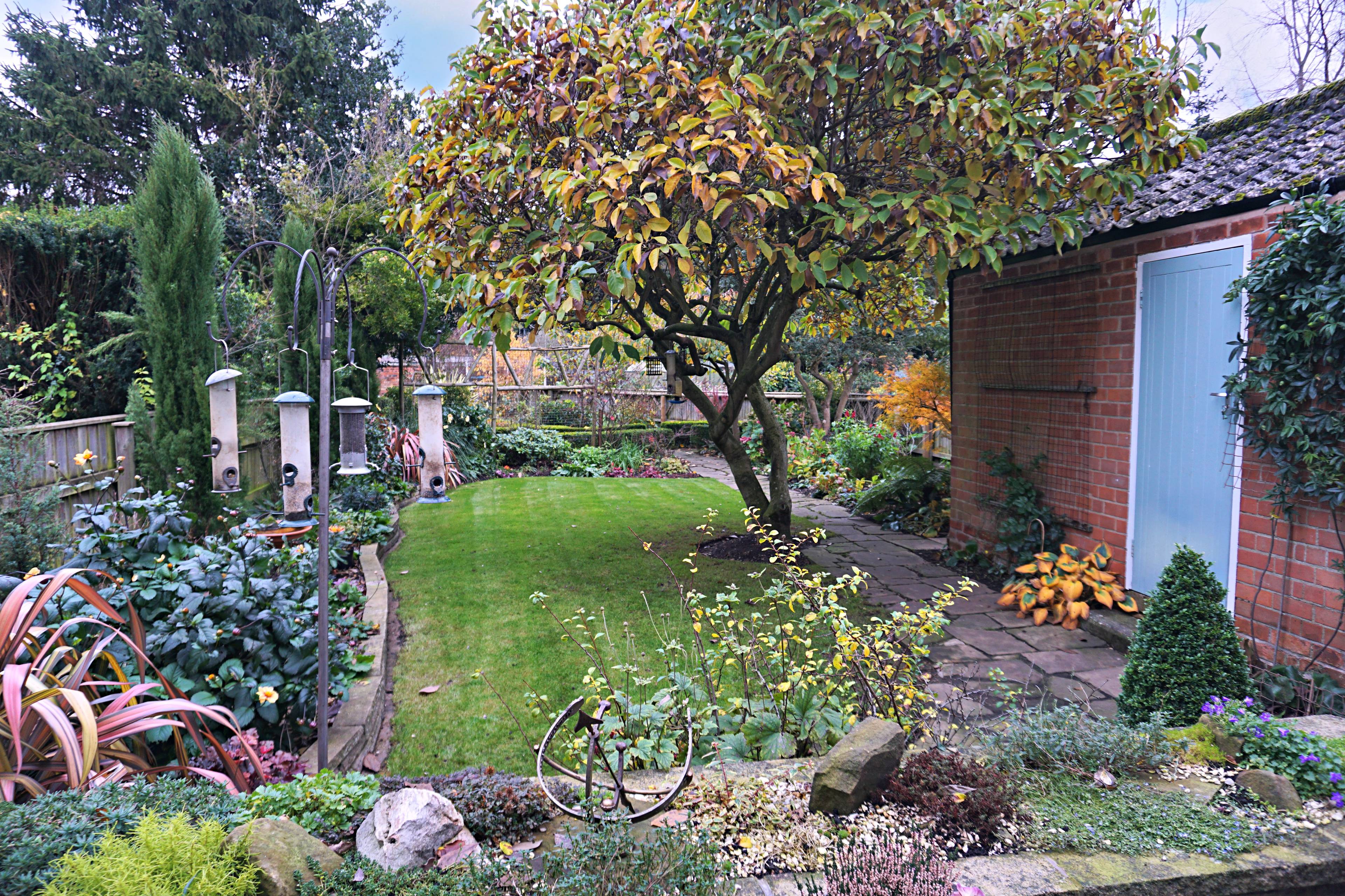 garden