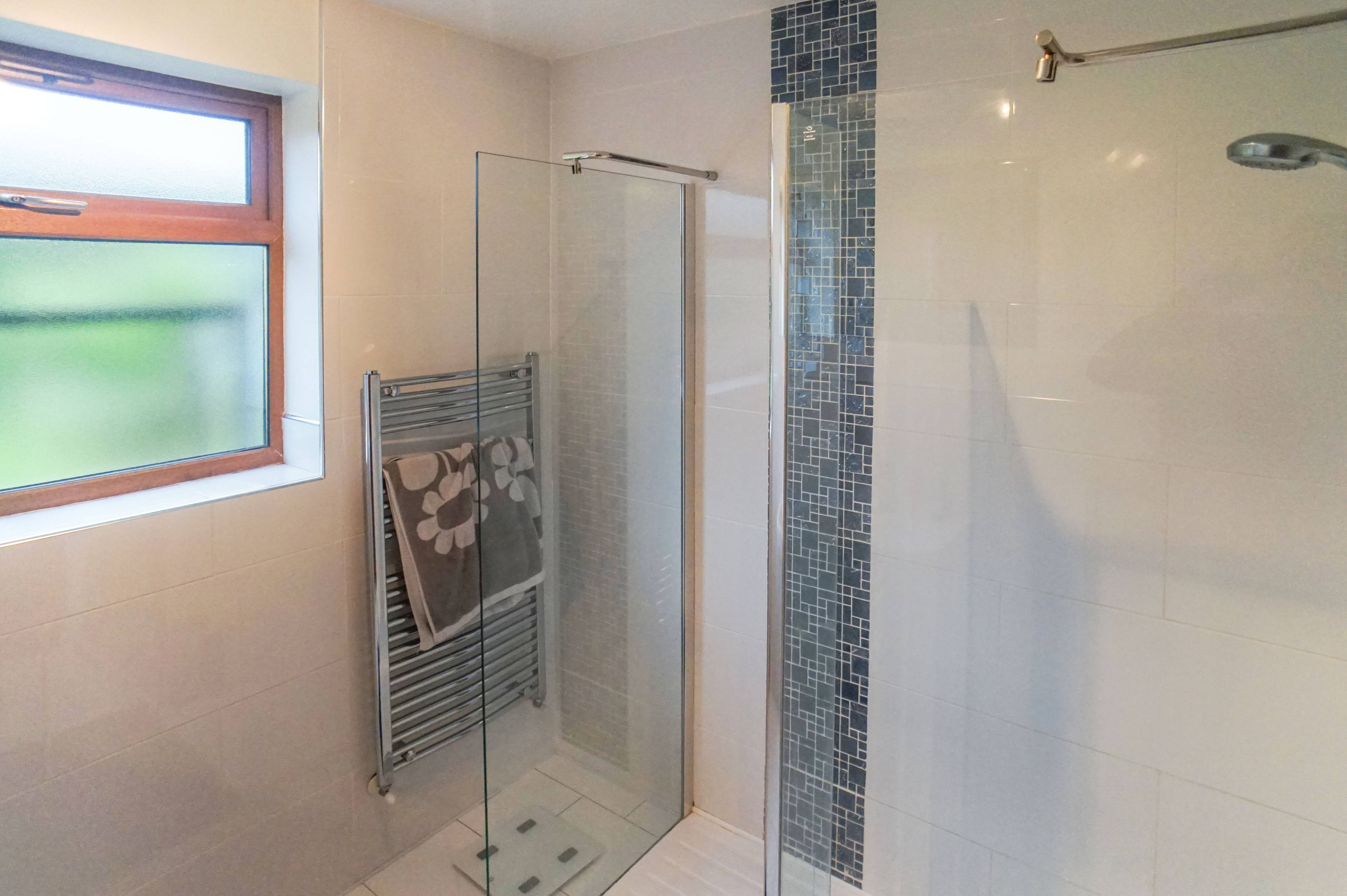 Downstairs Shower
