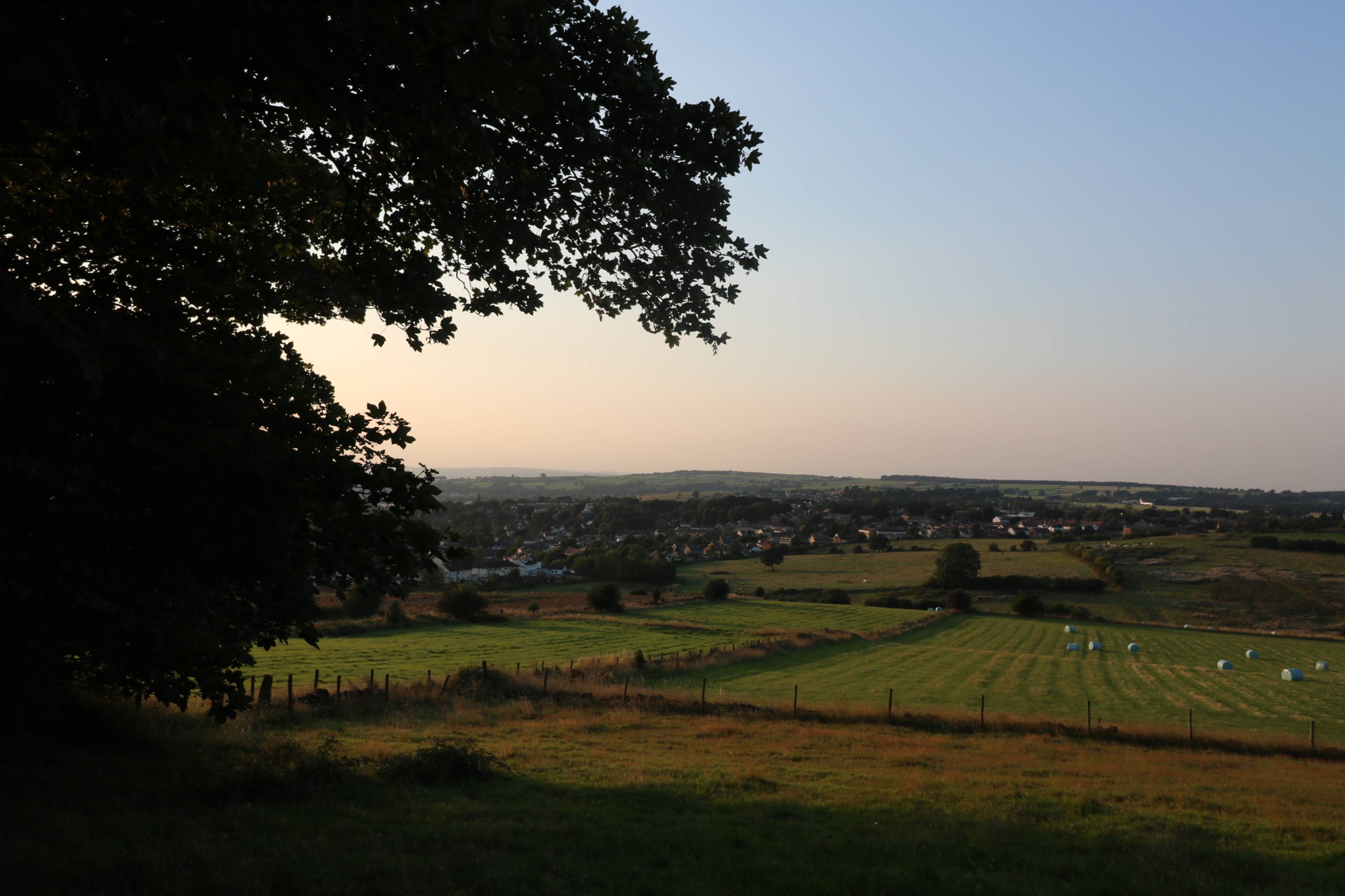 Local Area