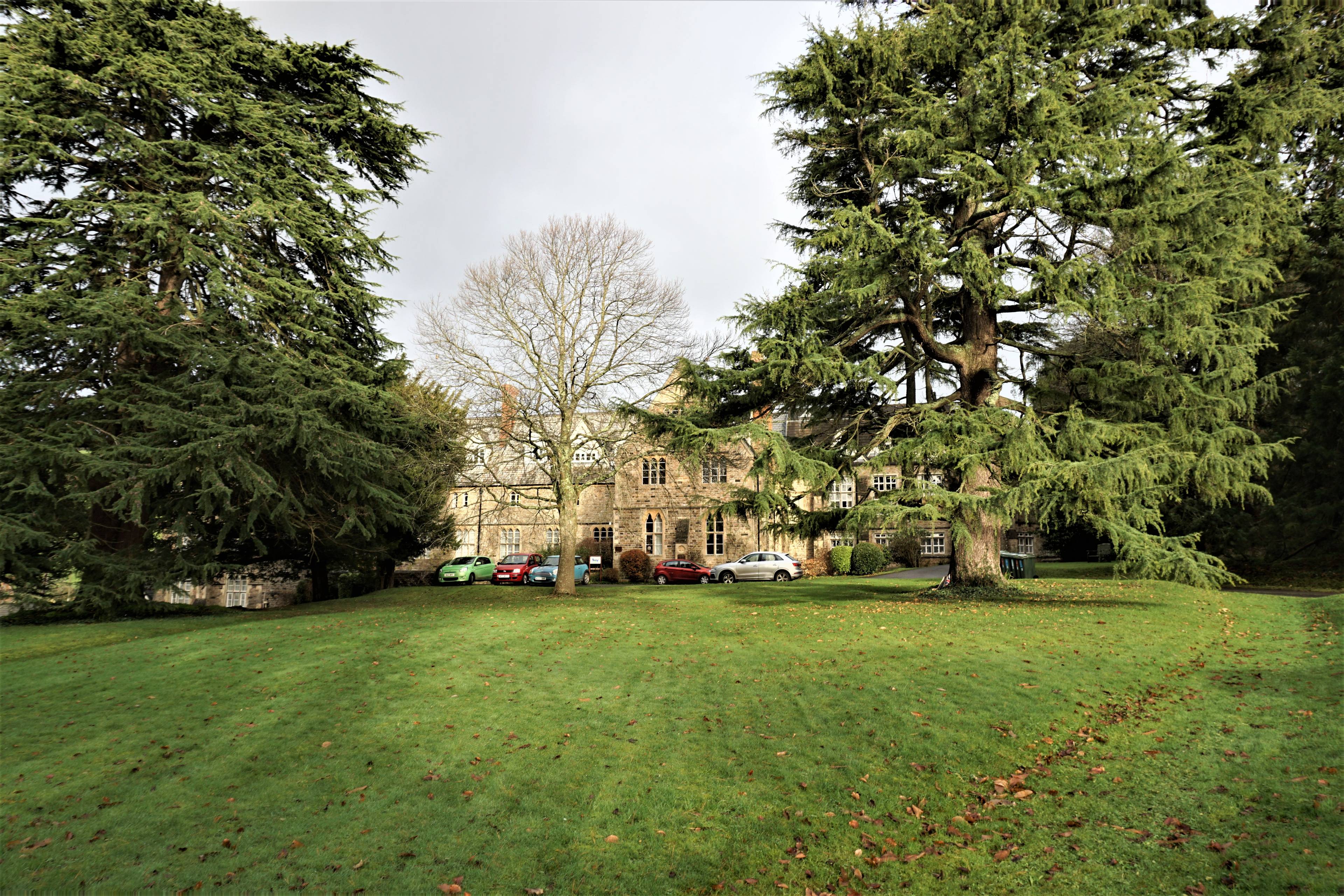 Grounds