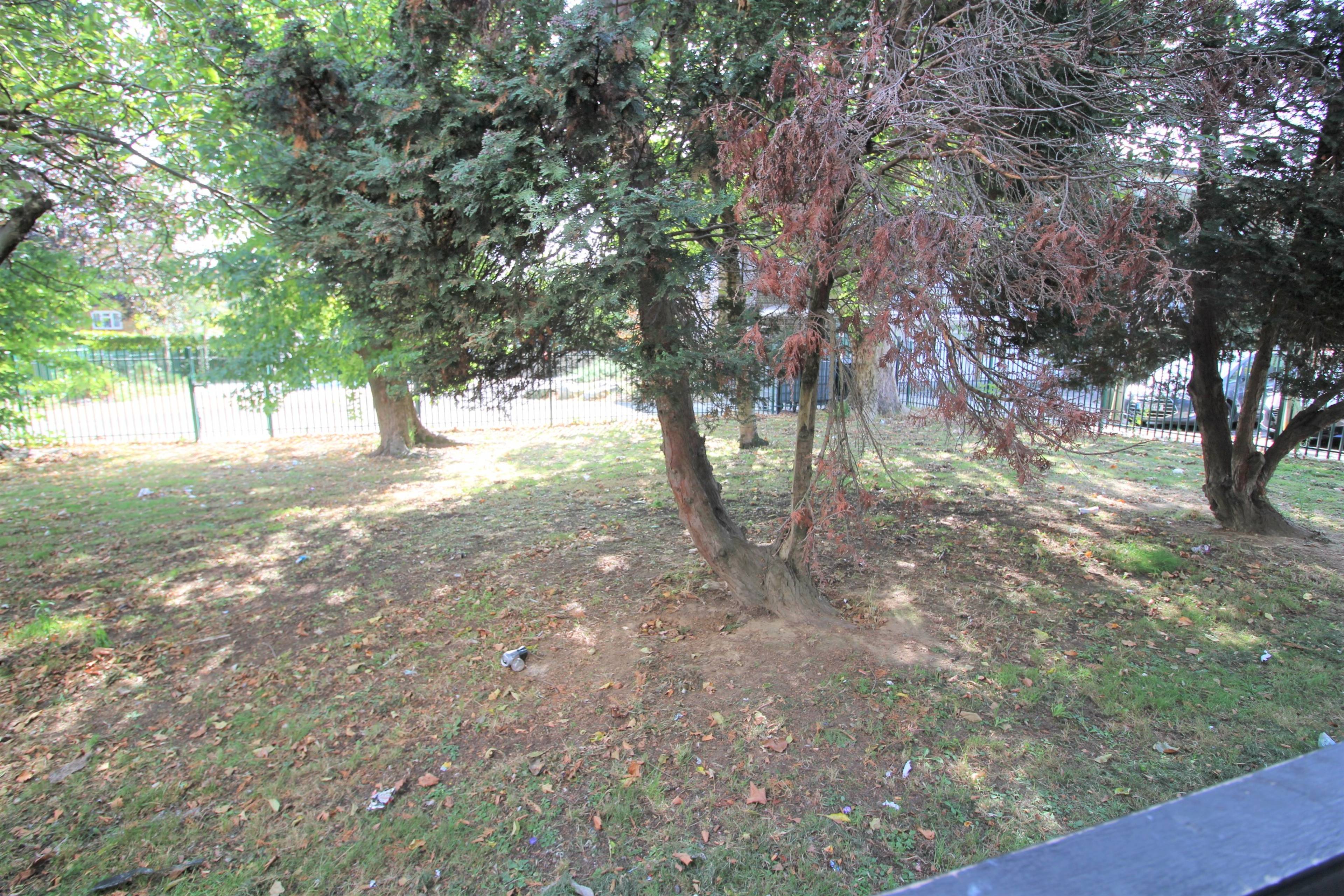 Communal Gardens