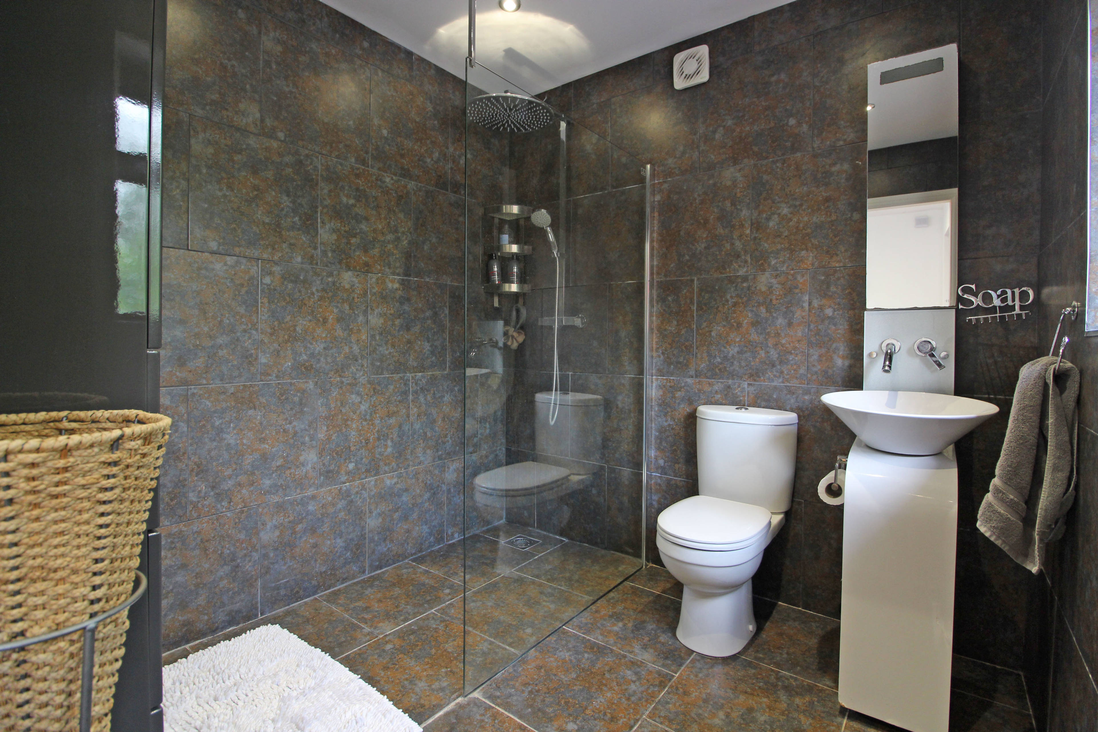 Downstairs Shower