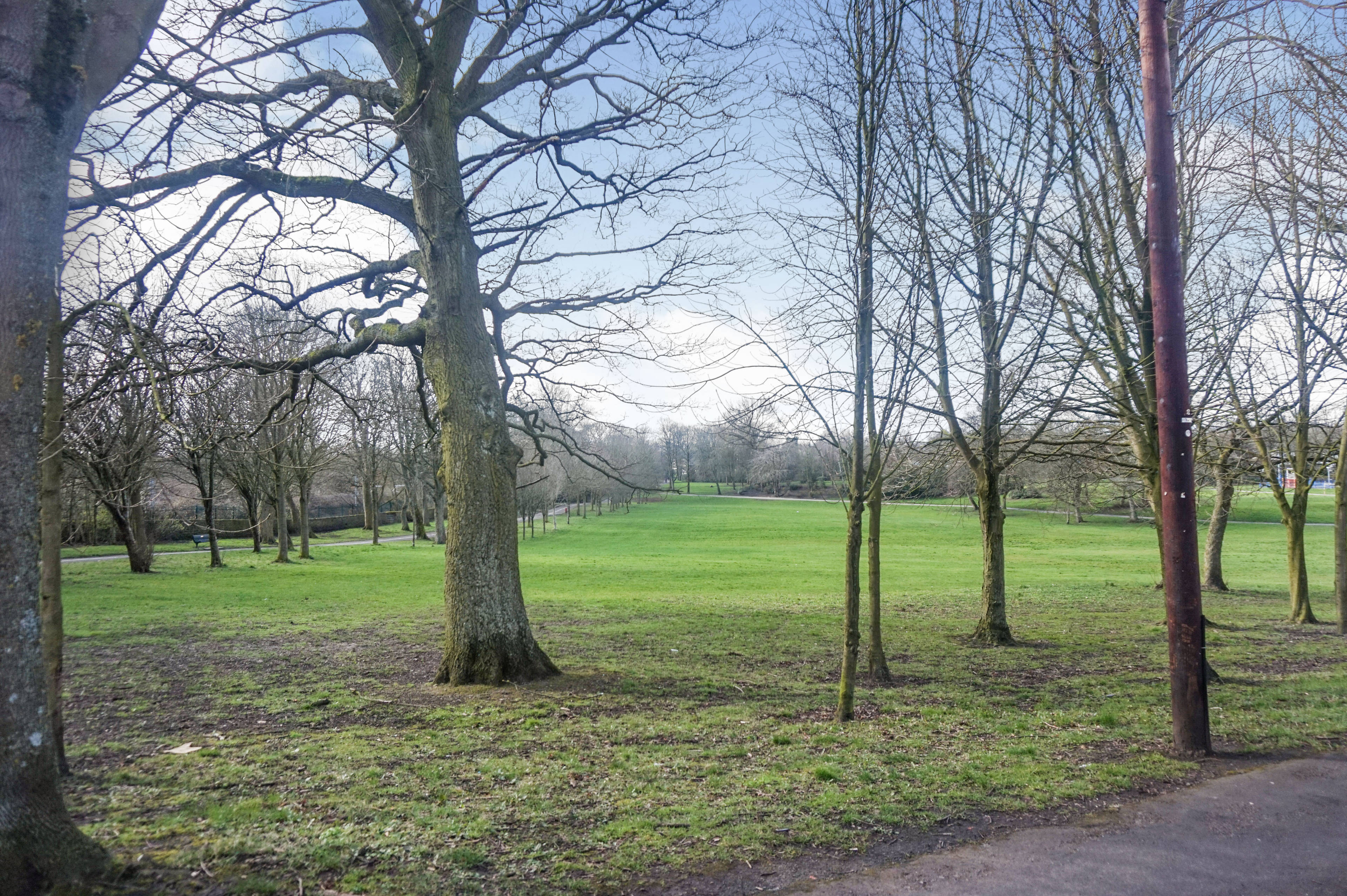 Nearby Park