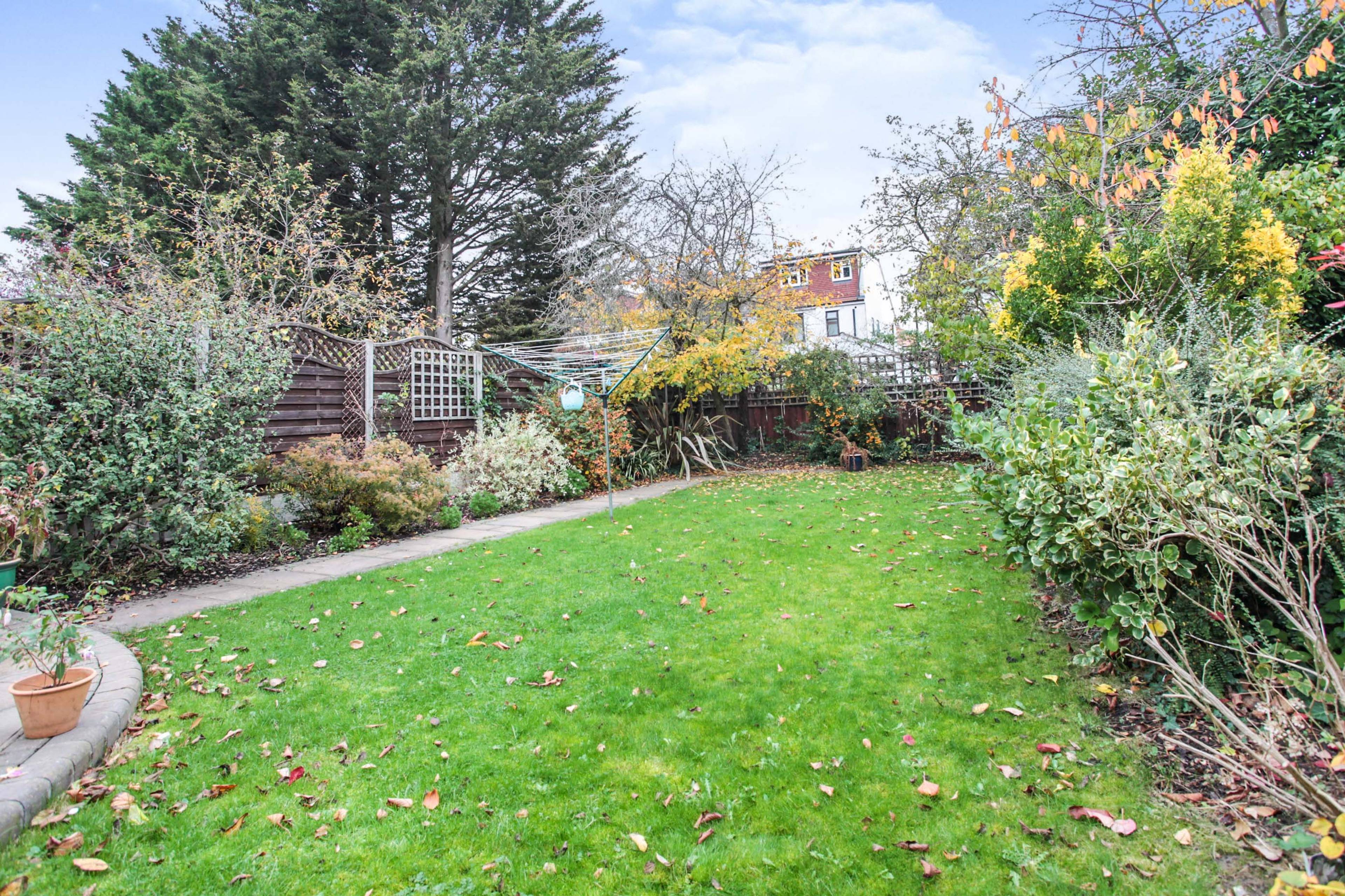 Mature Garden