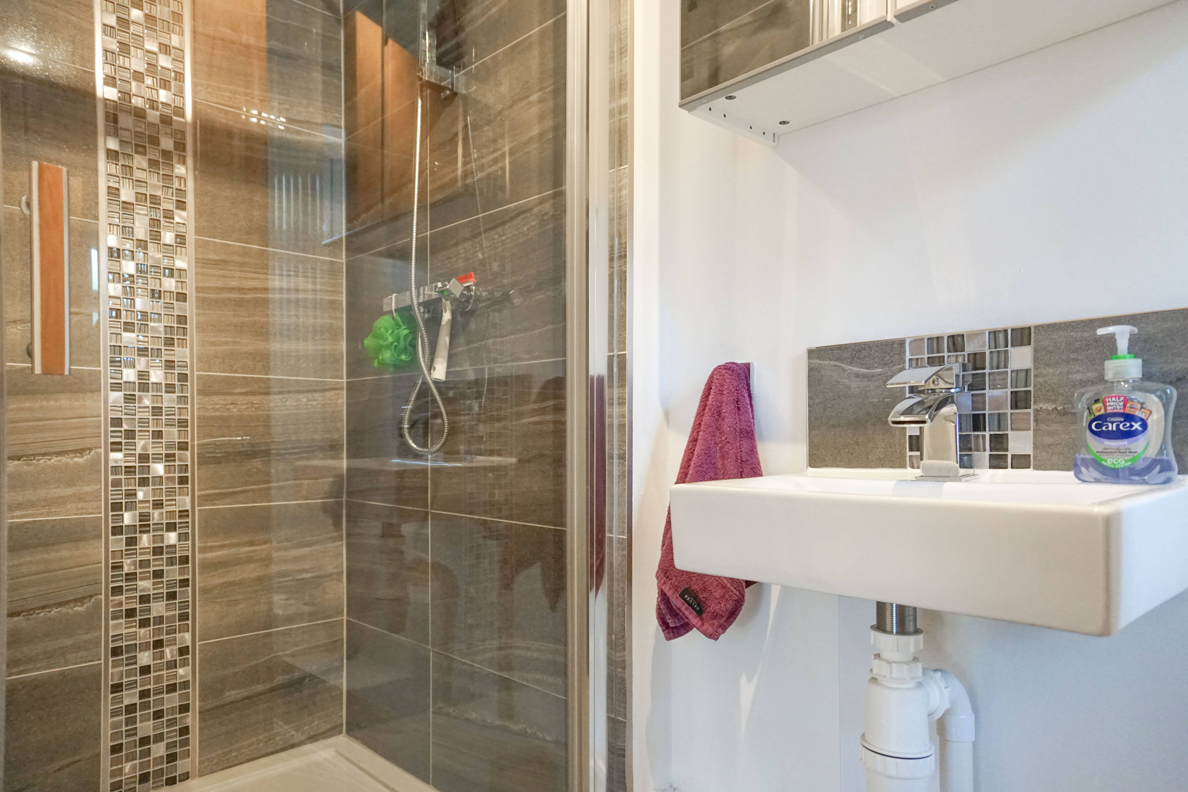 Downstairs Shower