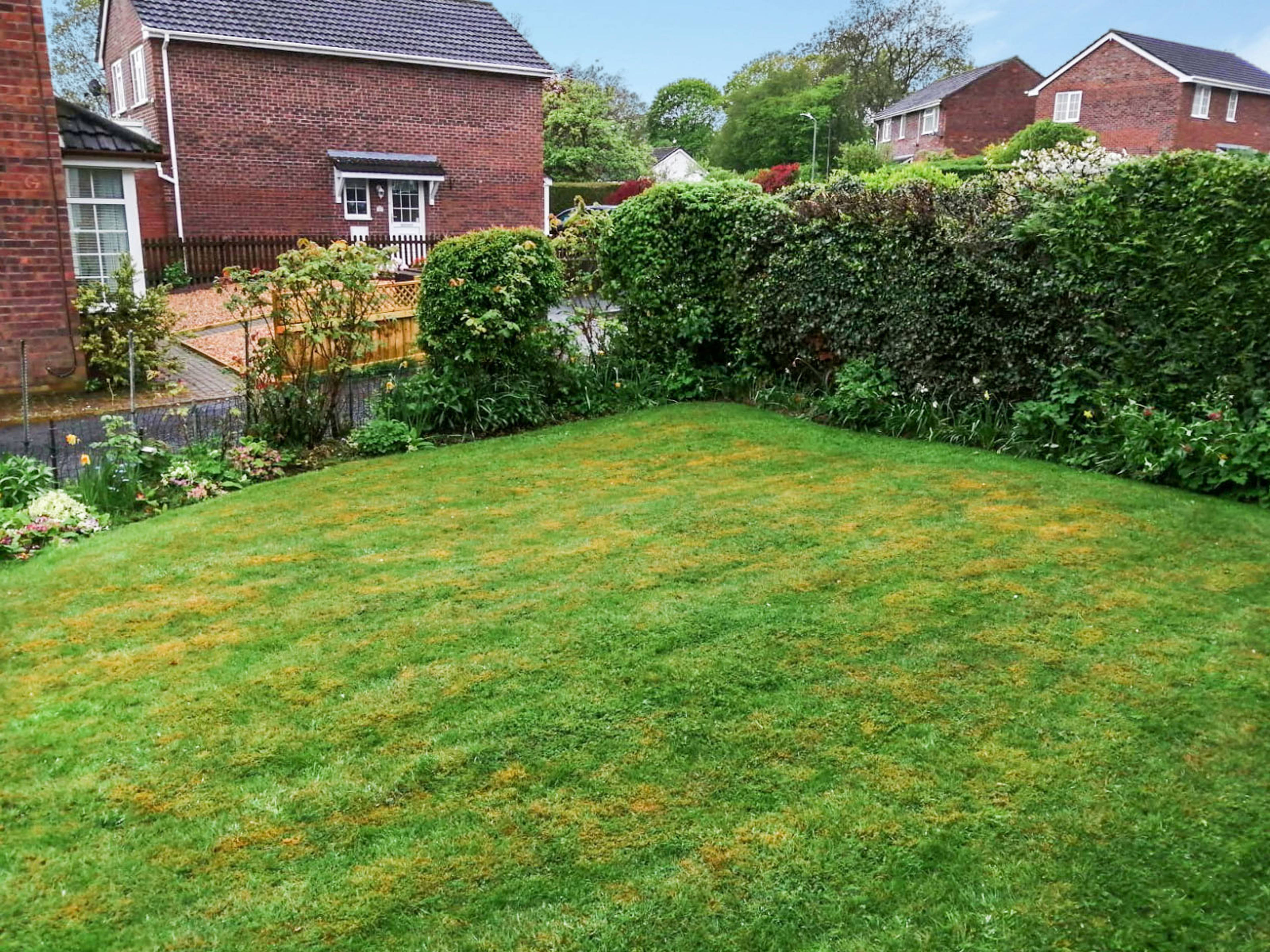 Front Garden