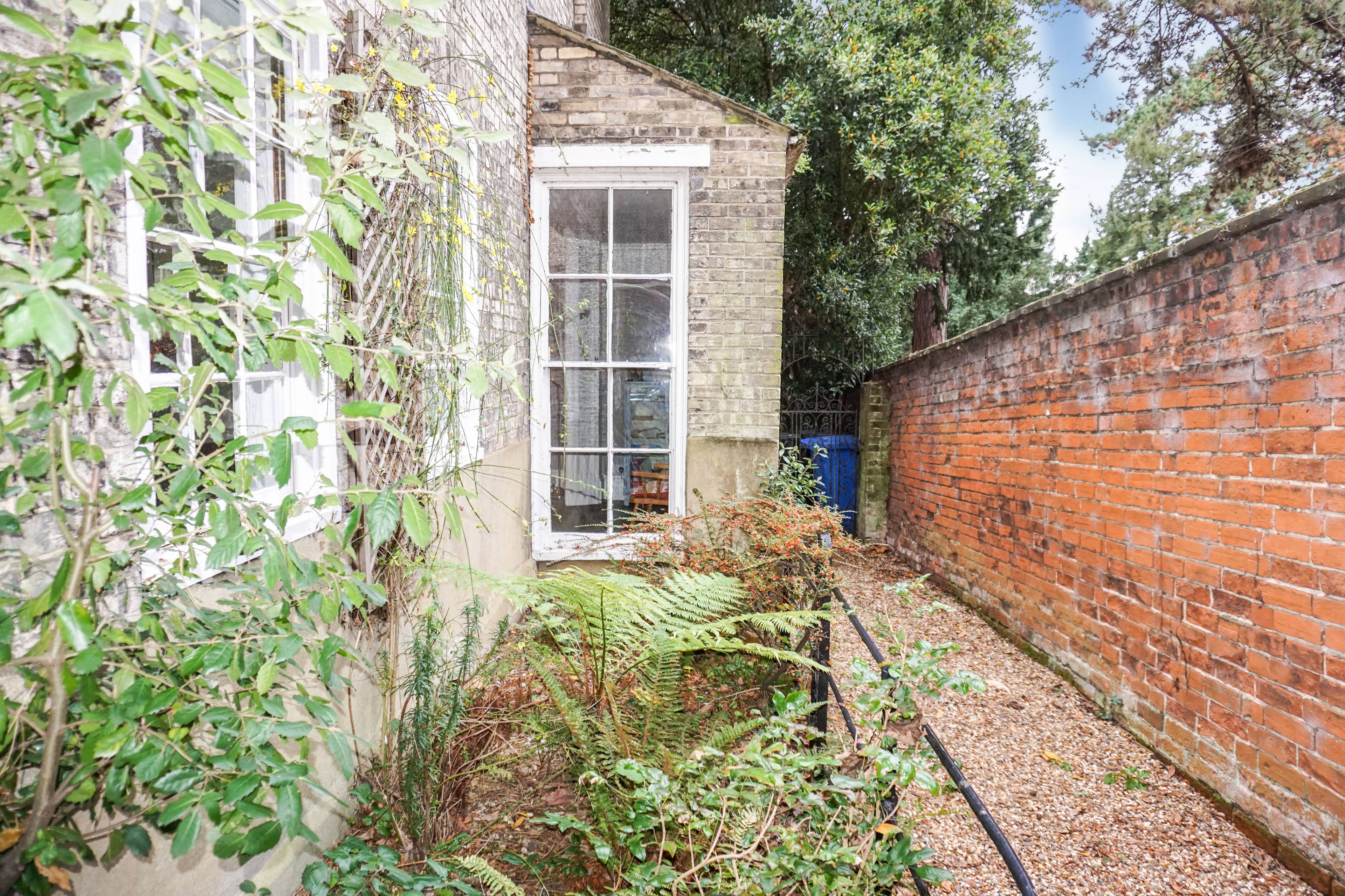Side Garden