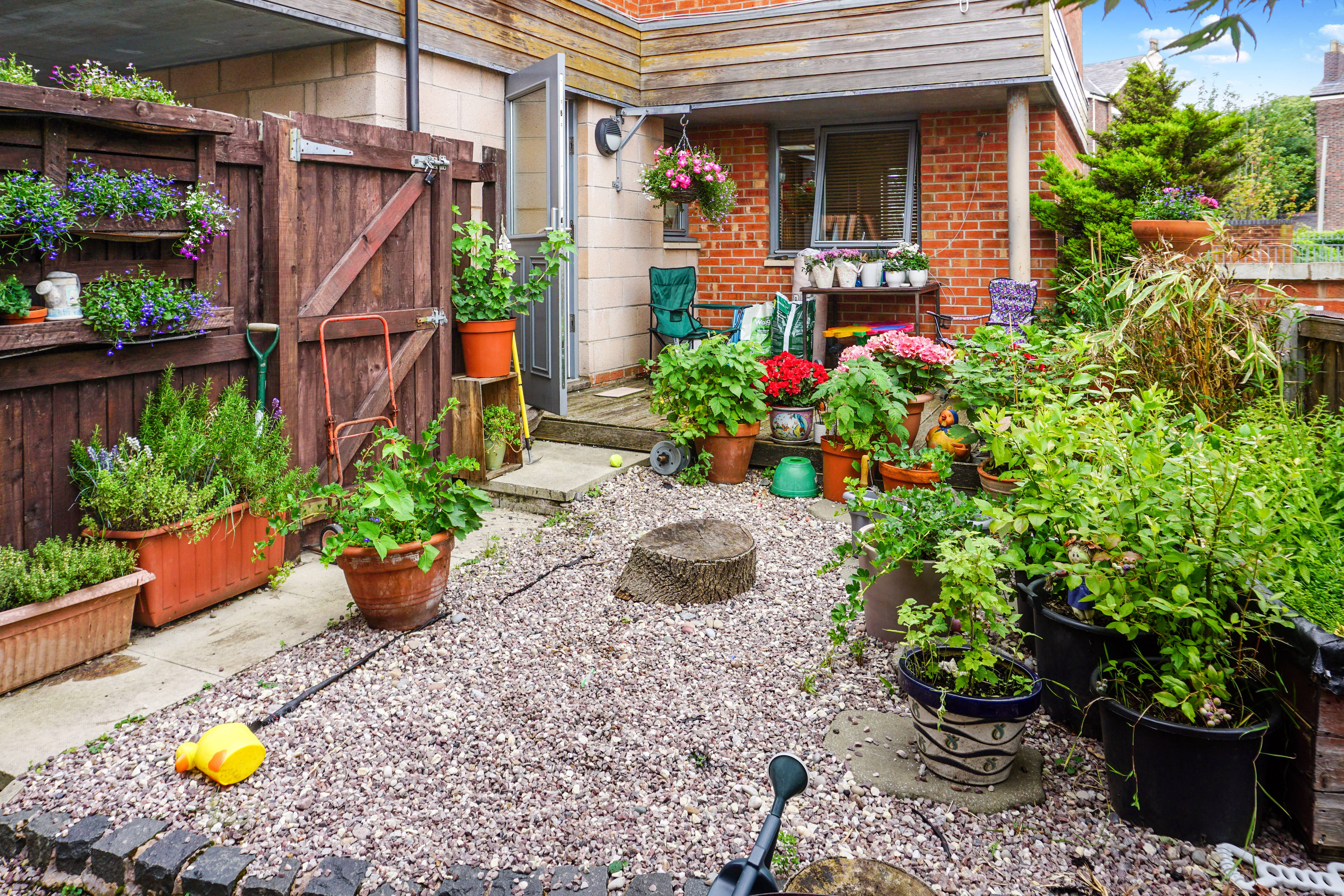 Garden