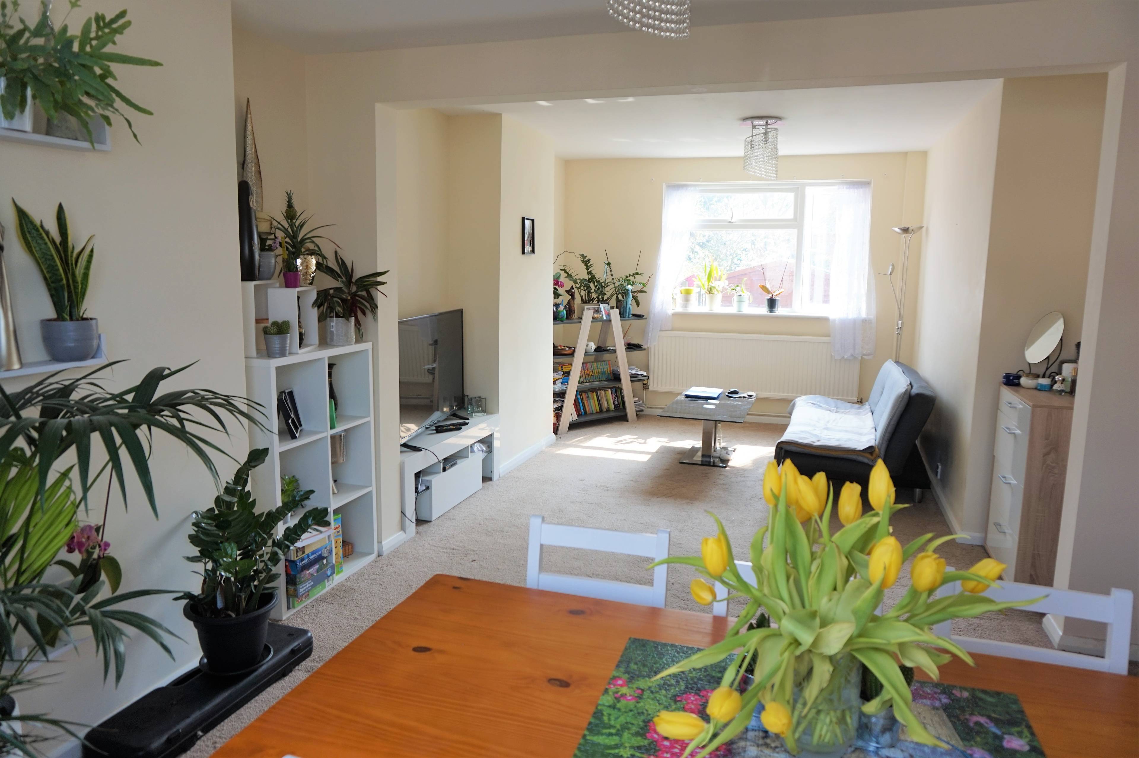 Open Plan Living