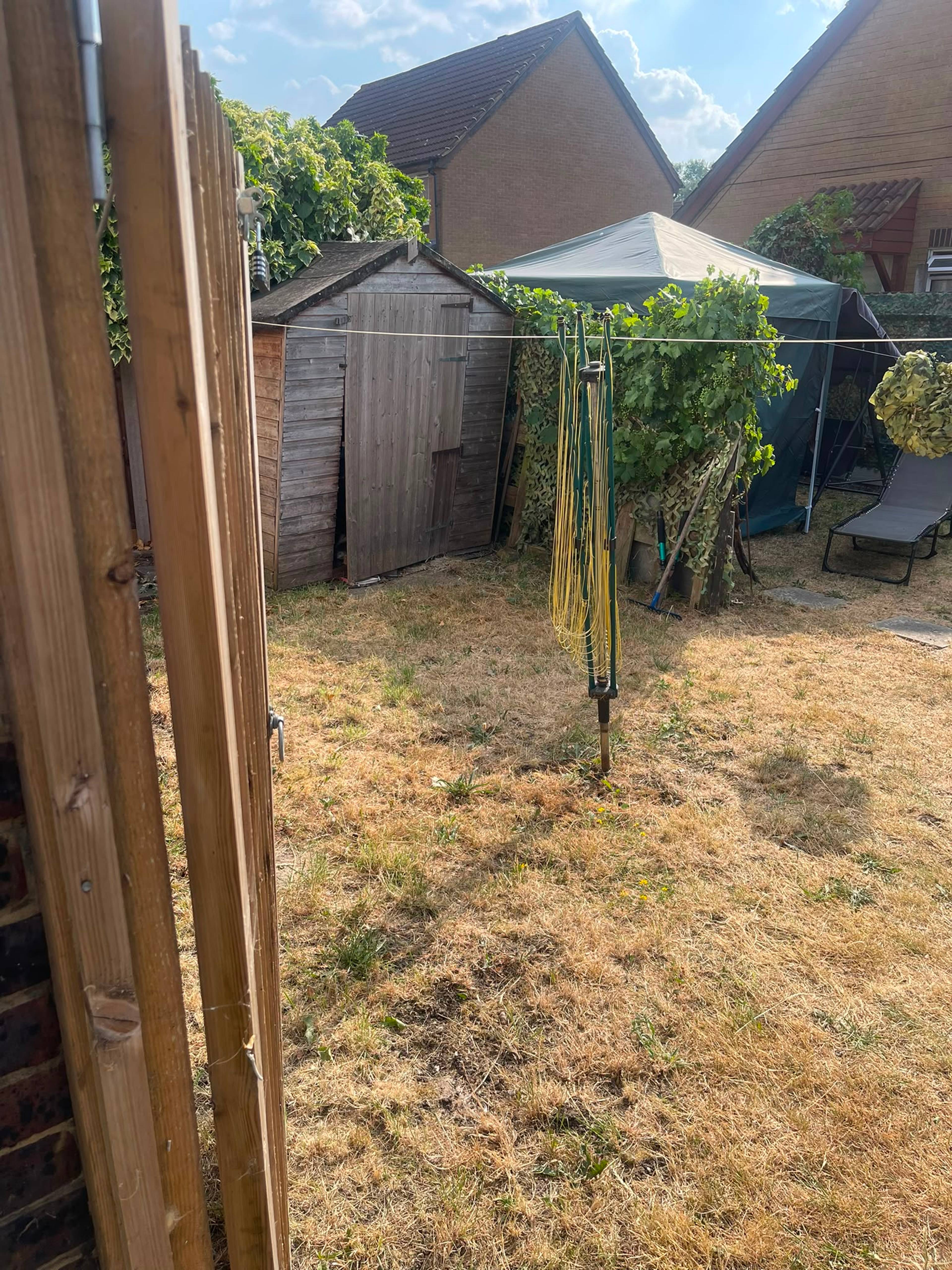 garden