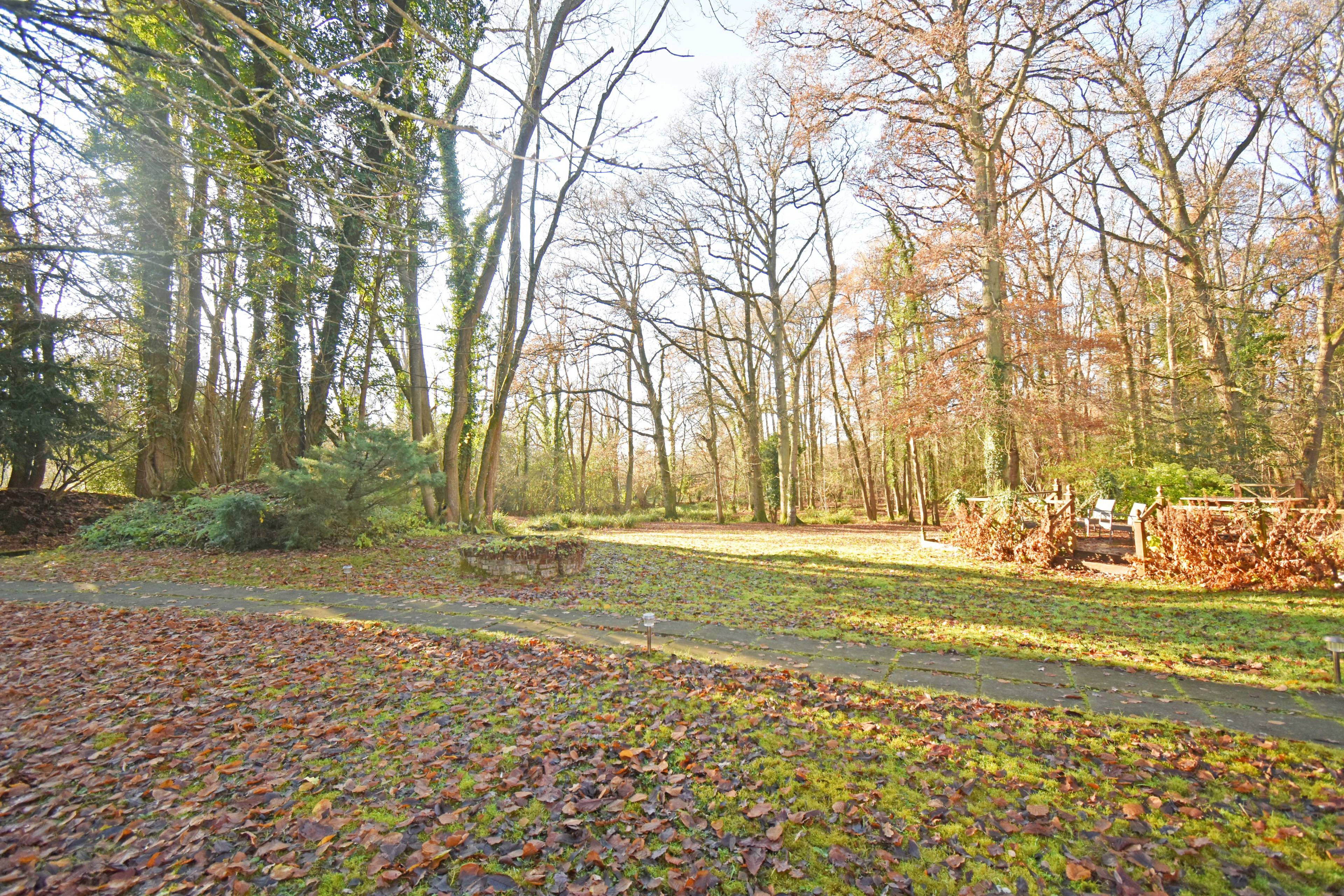 Grounds