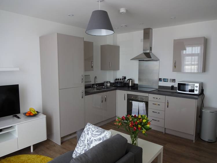 1 bedroom apartment