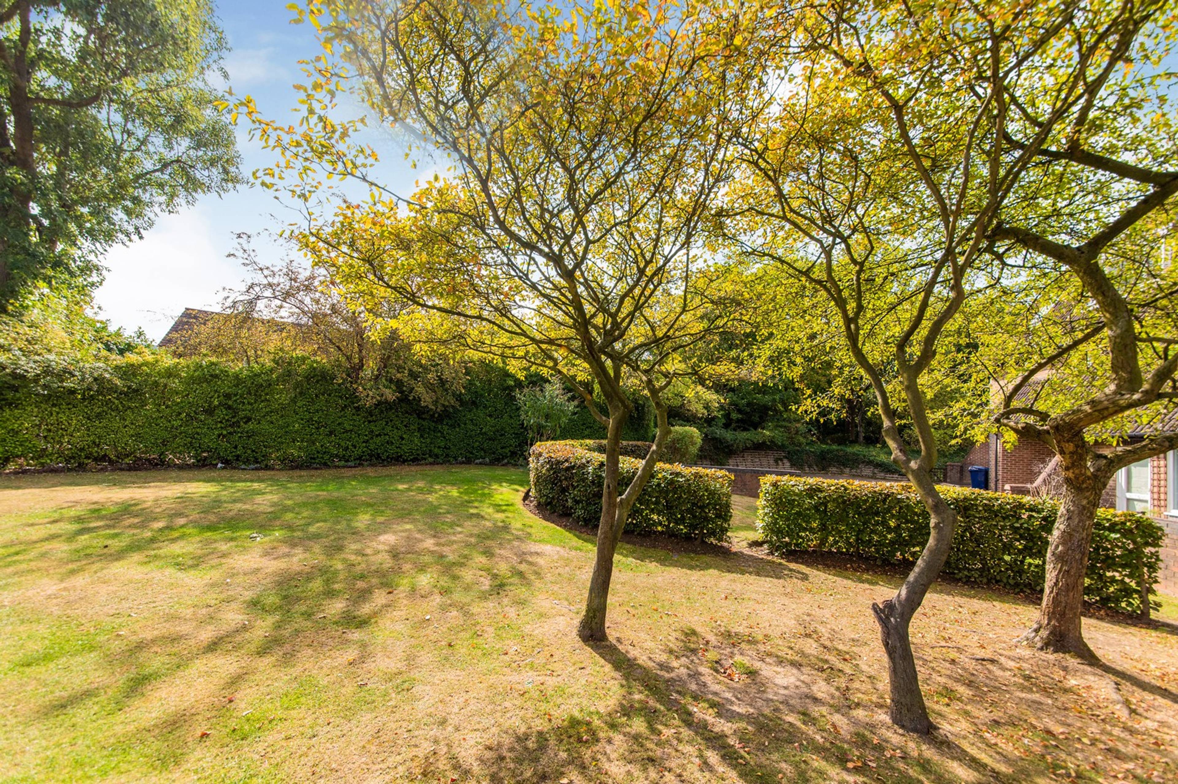 Communal Gardens
