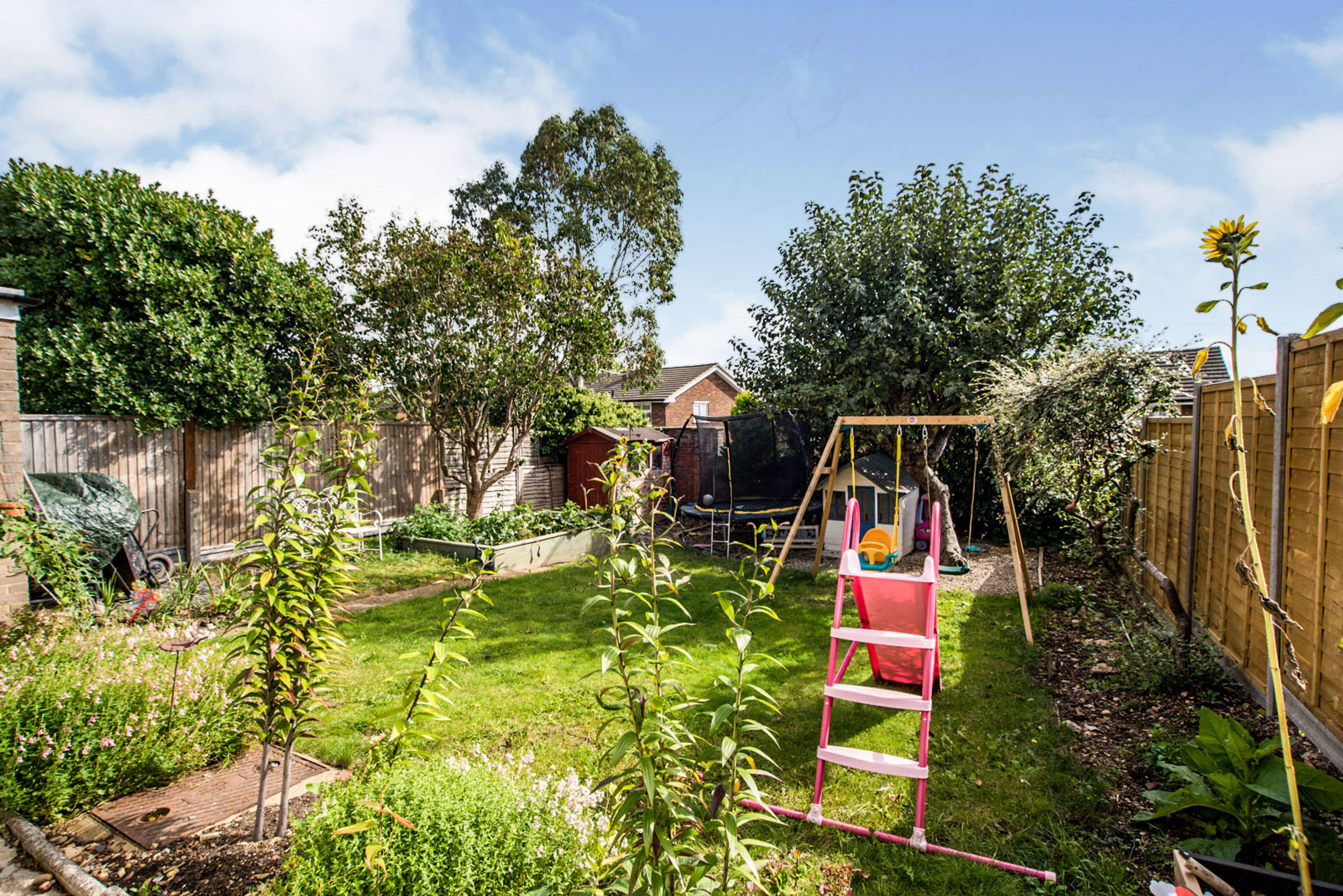 Mature Garden