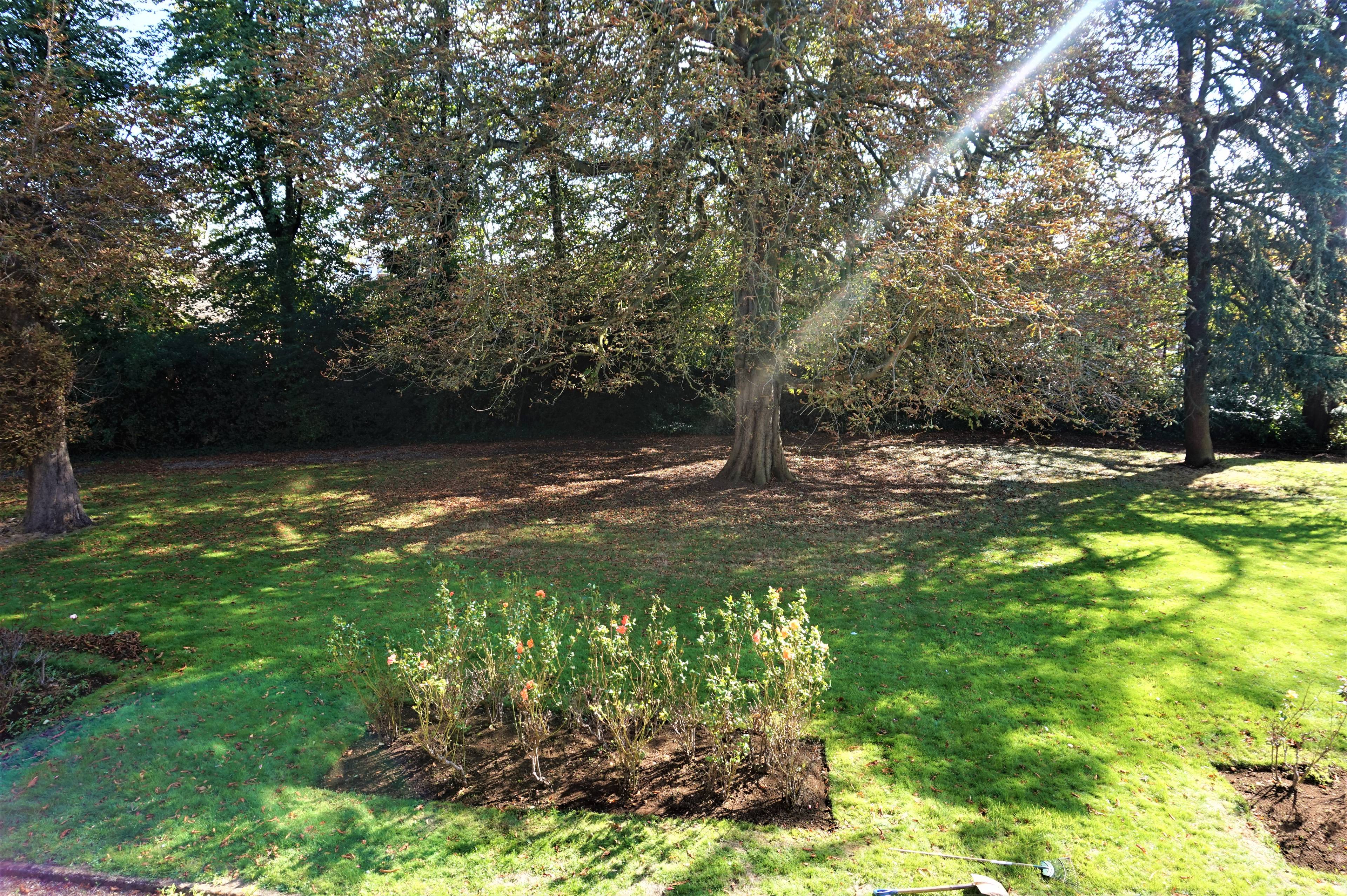 Communal Gardens