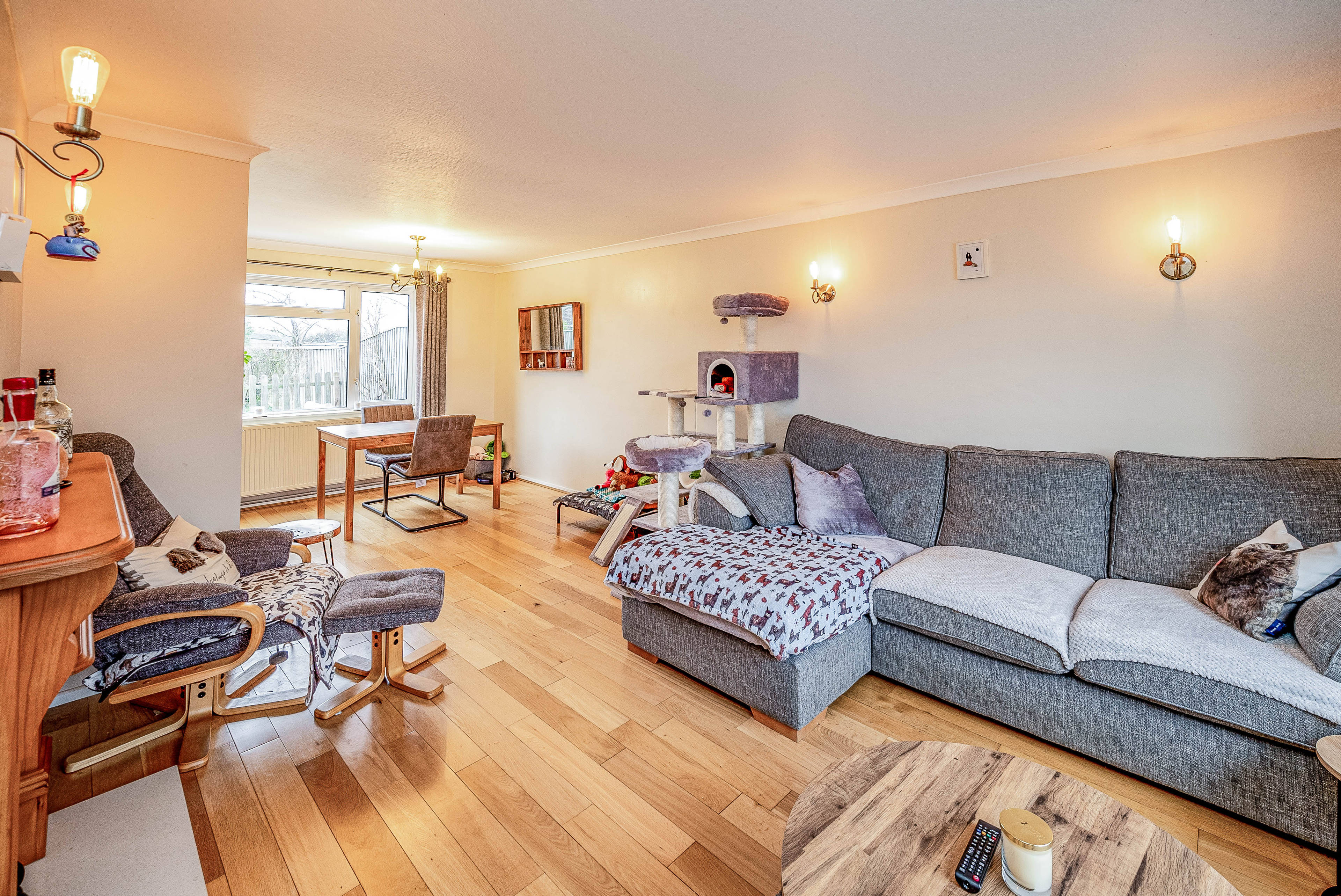 Living / Dining Room
