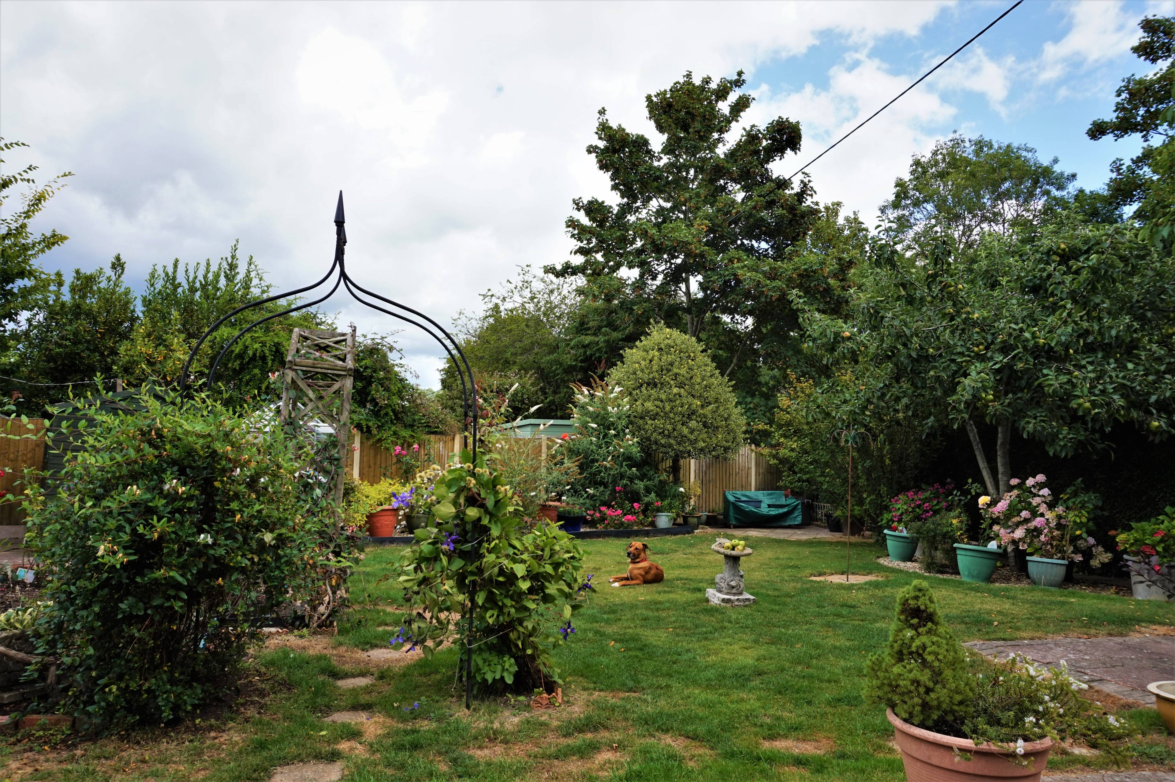 Garden