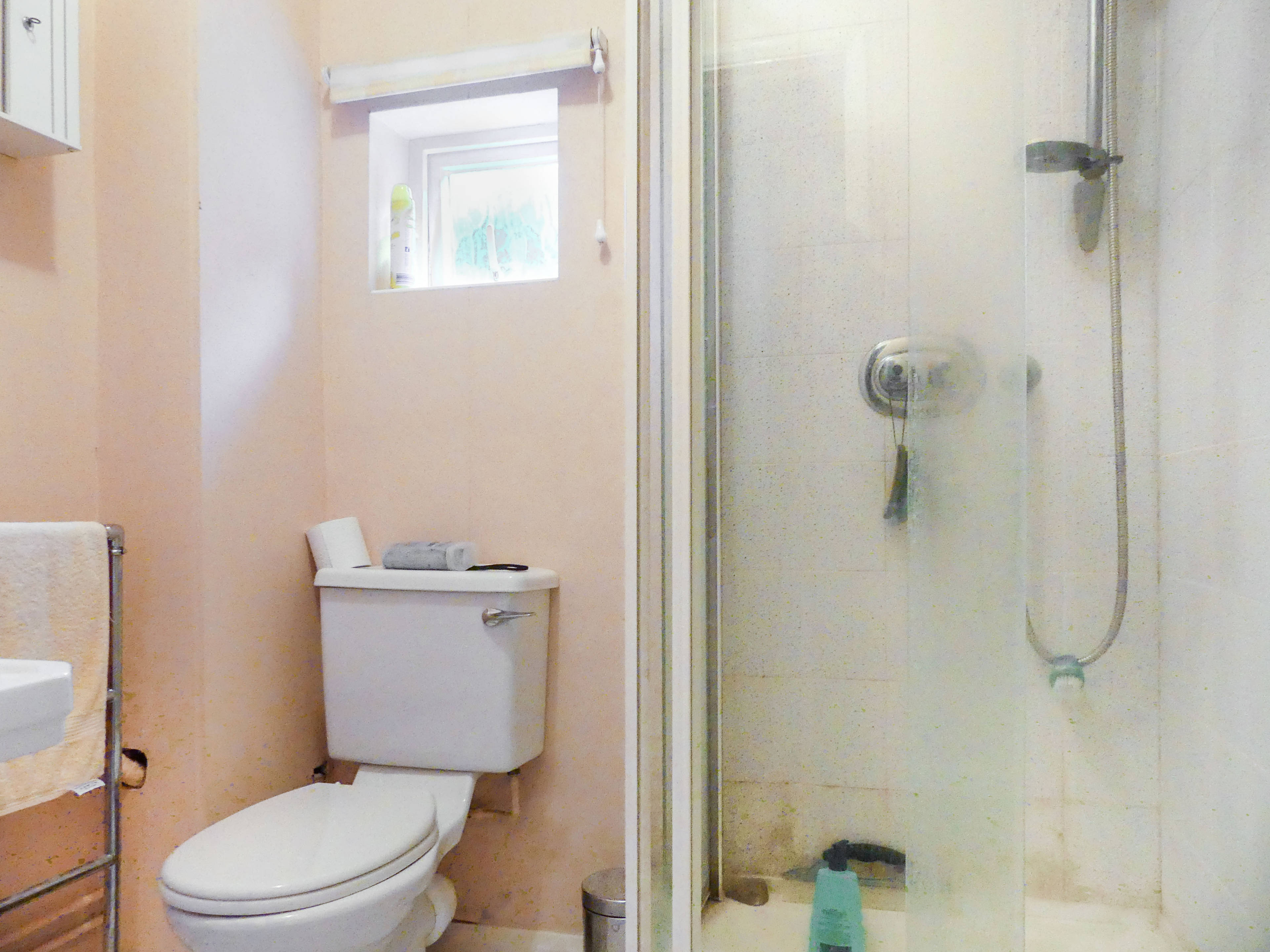 Downstairs Shower