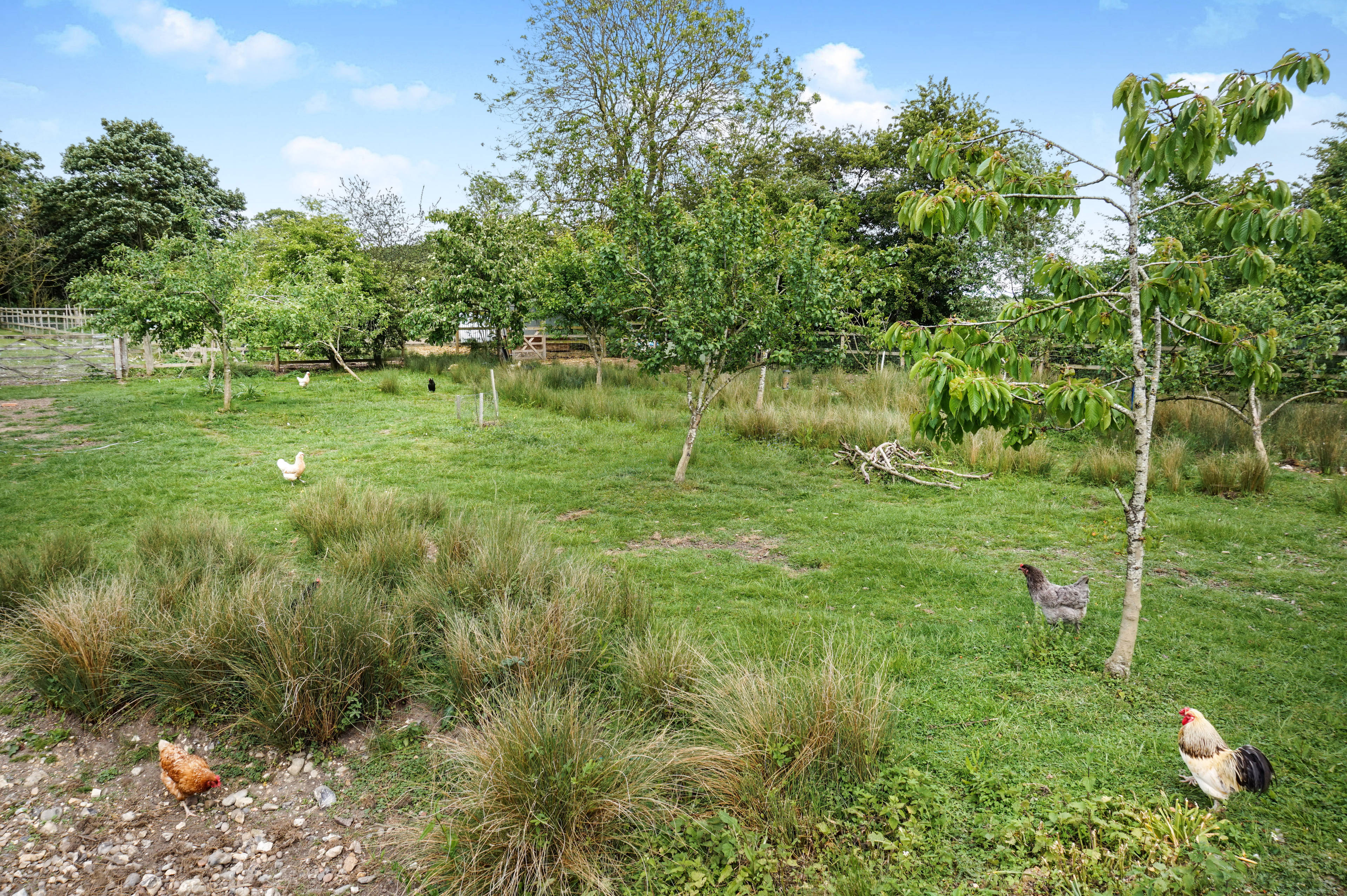 Grounds