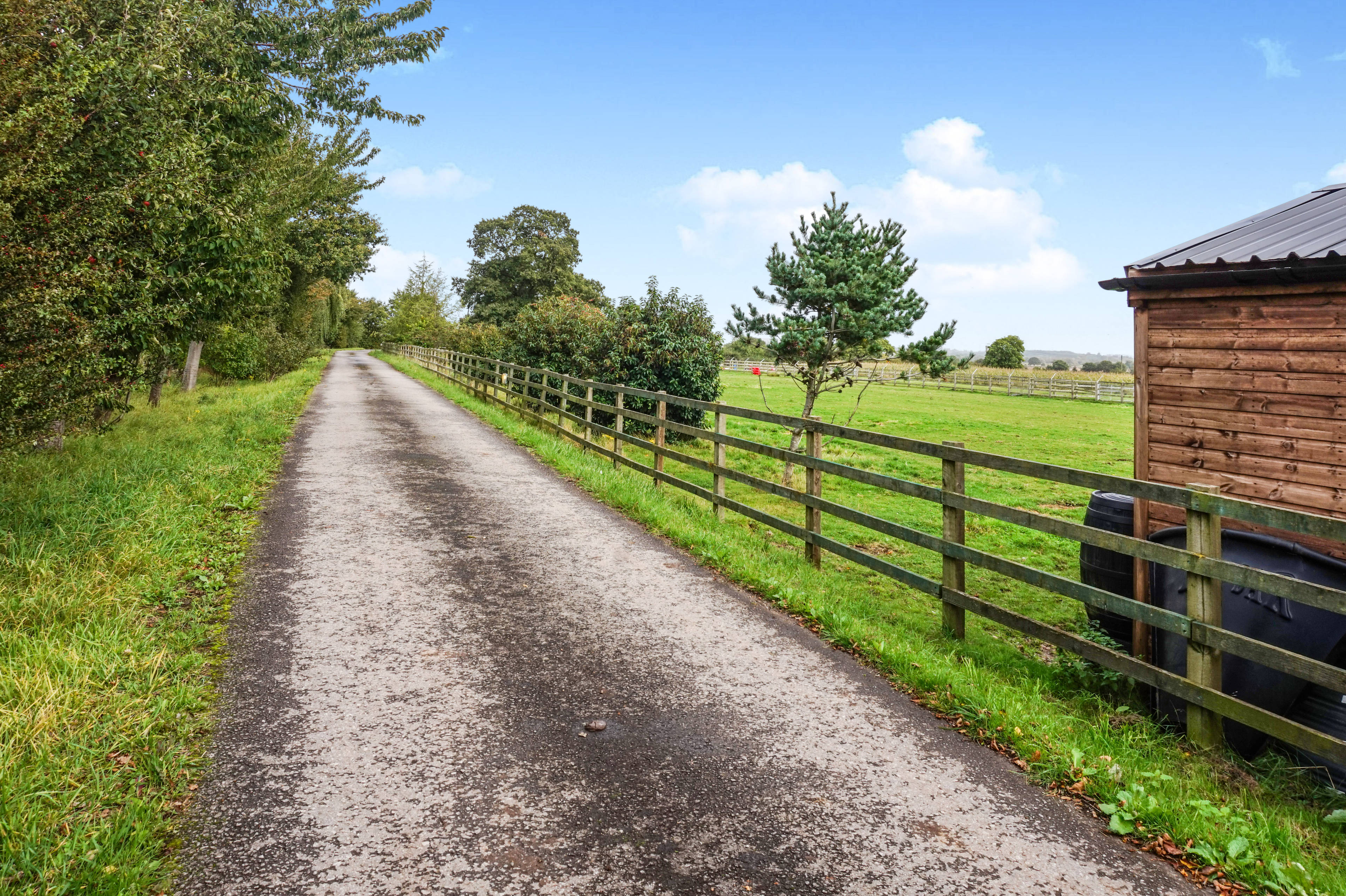 Driveway