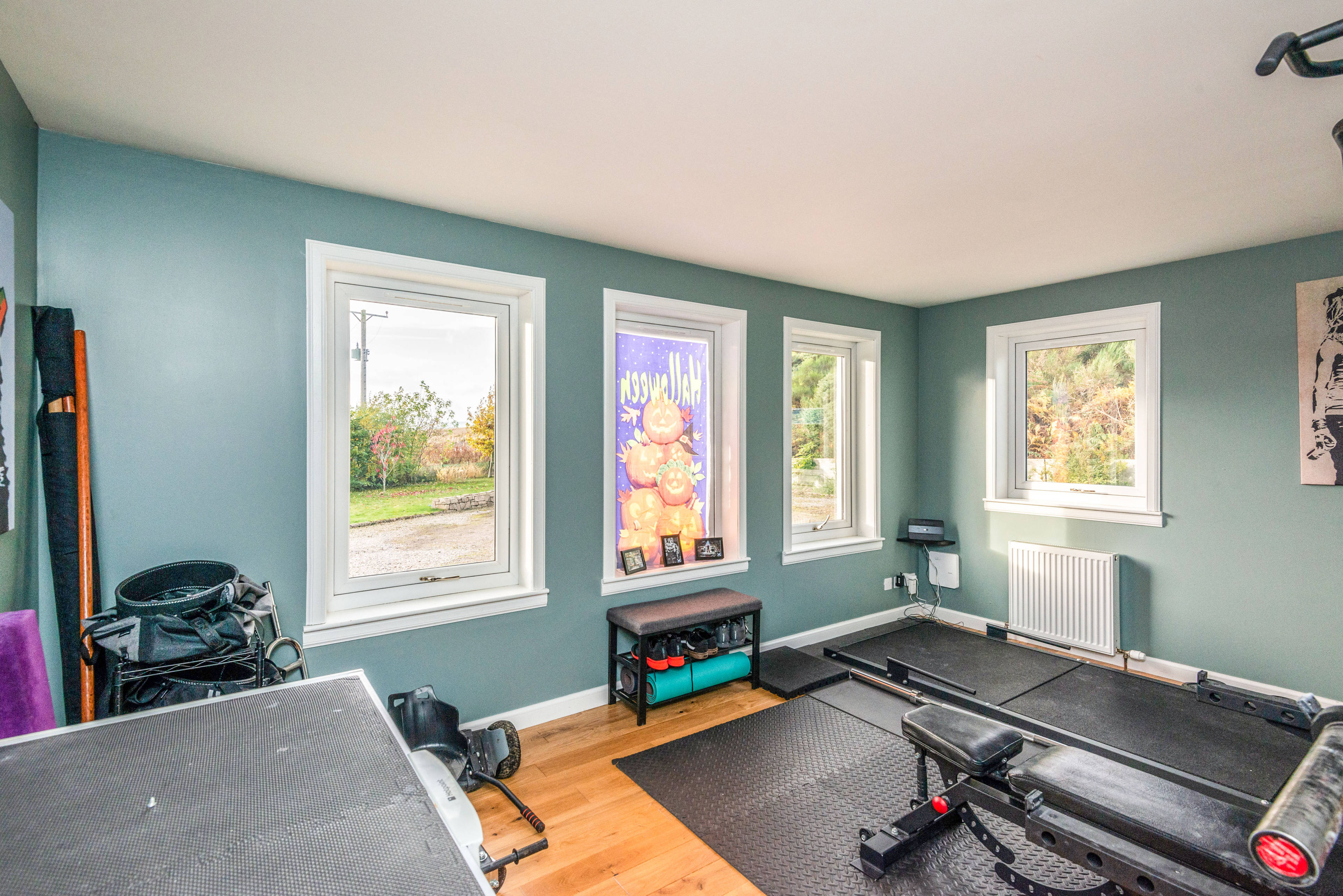 Bedroom/Lounge