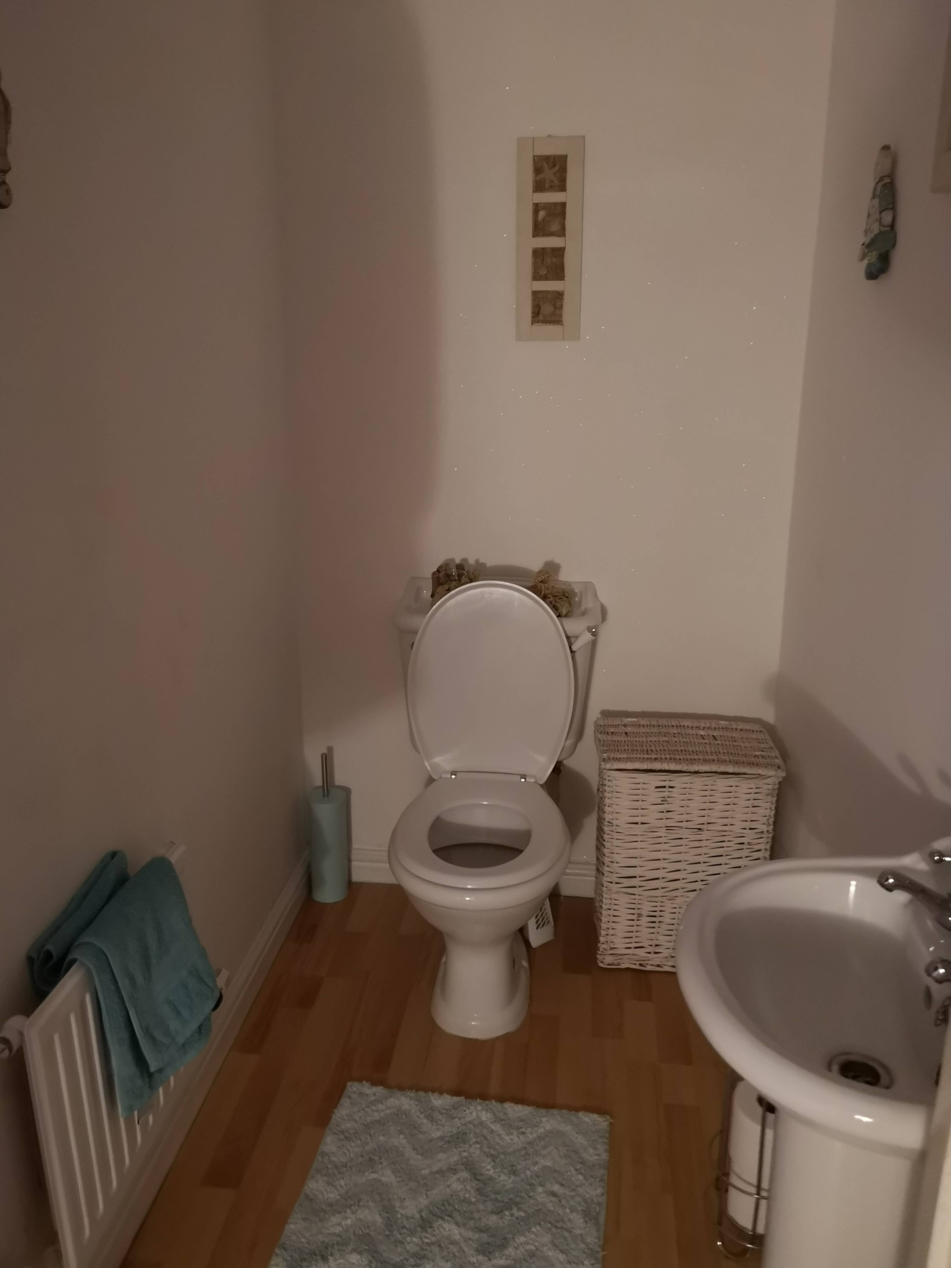 Downstairs Cloakroom