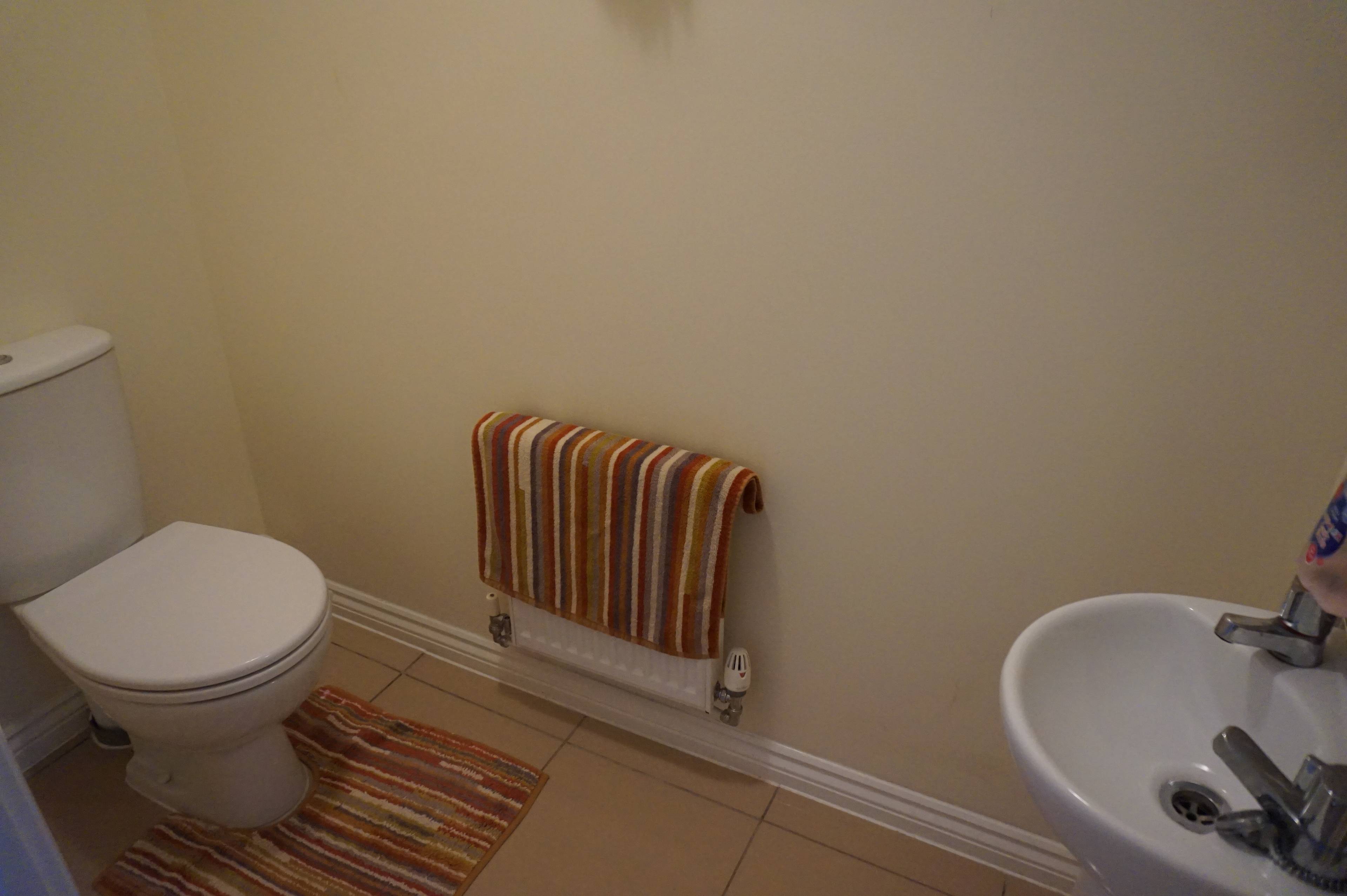 Downstairs Cloakroom