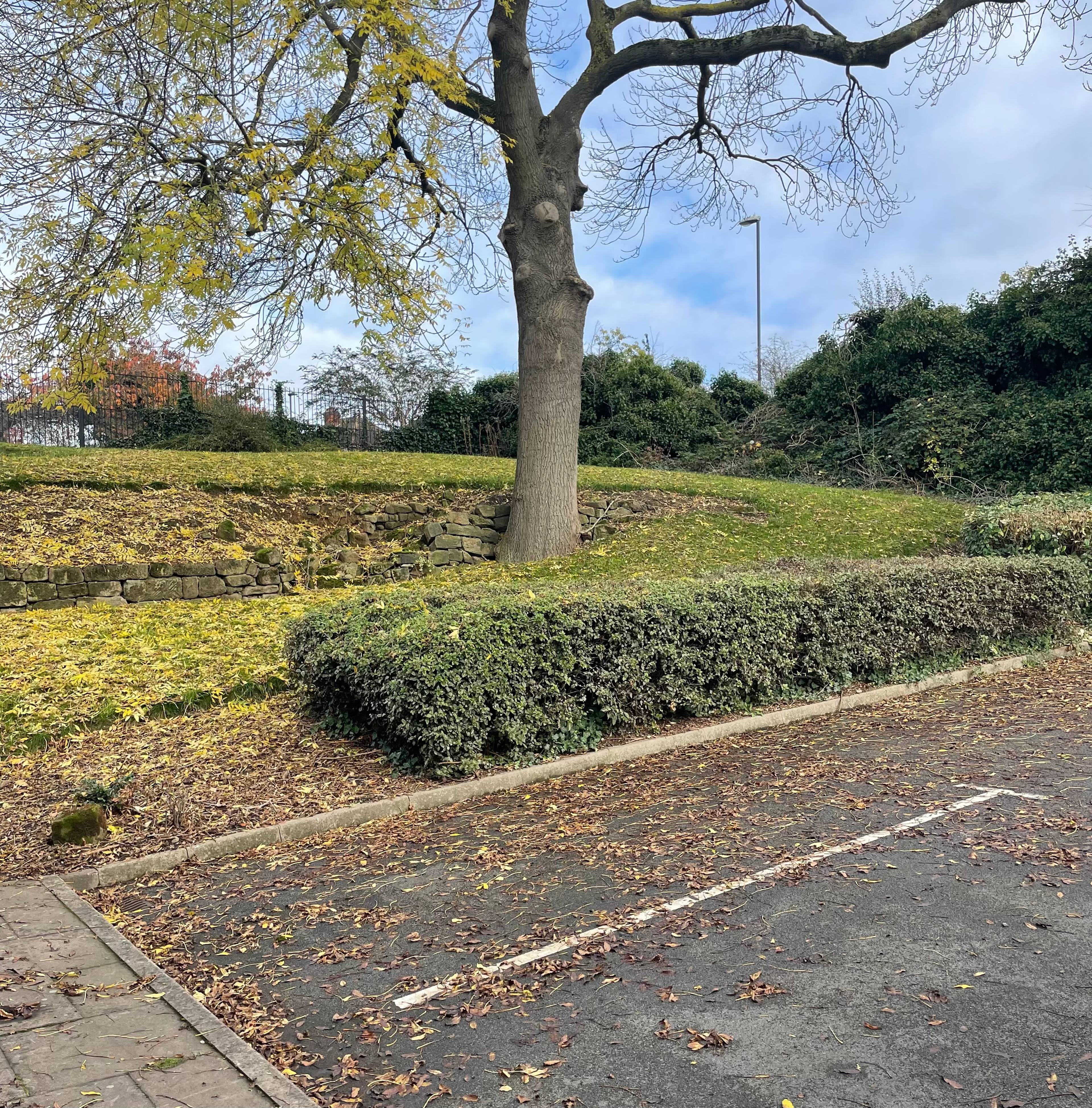 Allocated Parking