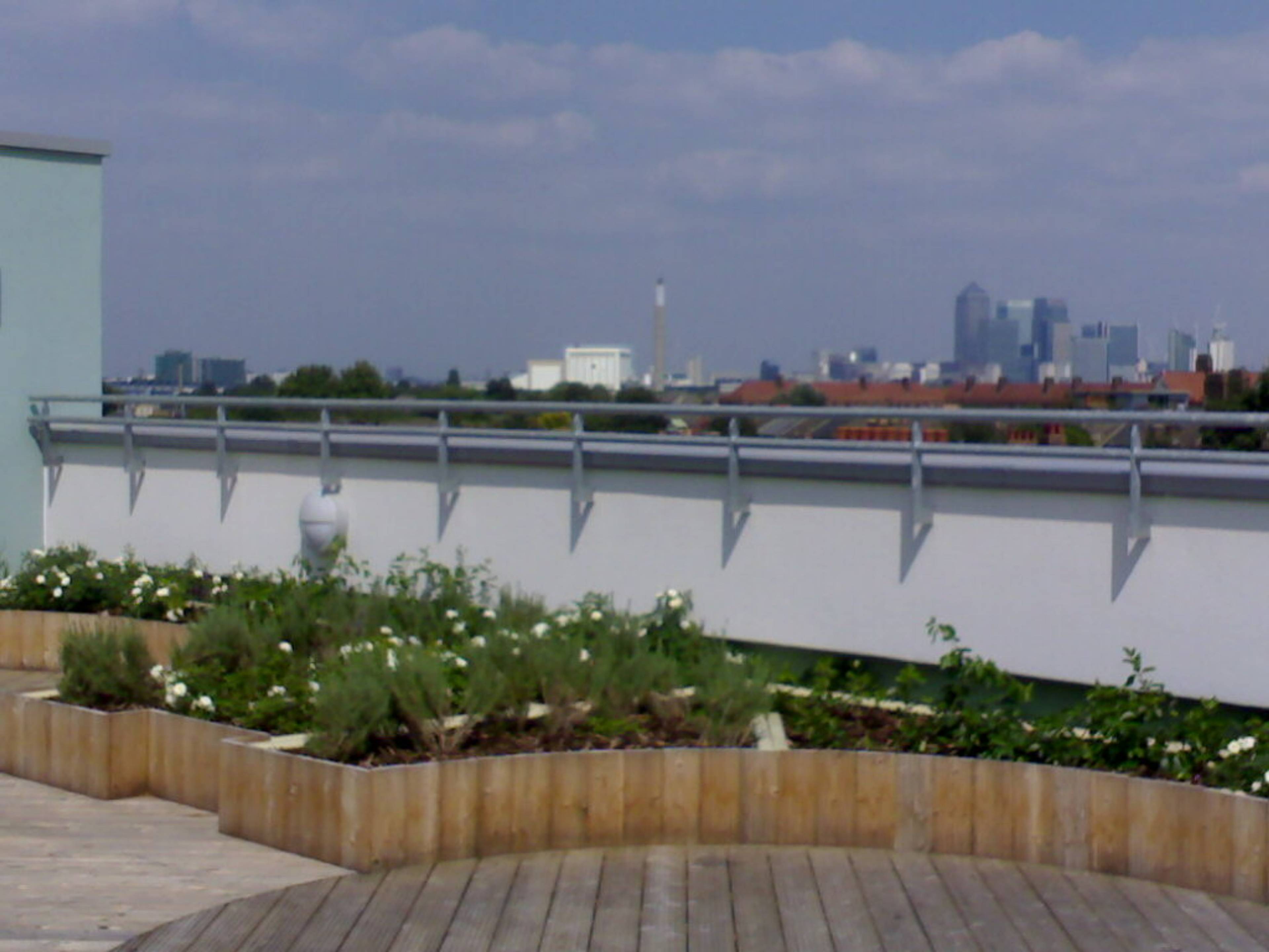 Roof Terrace