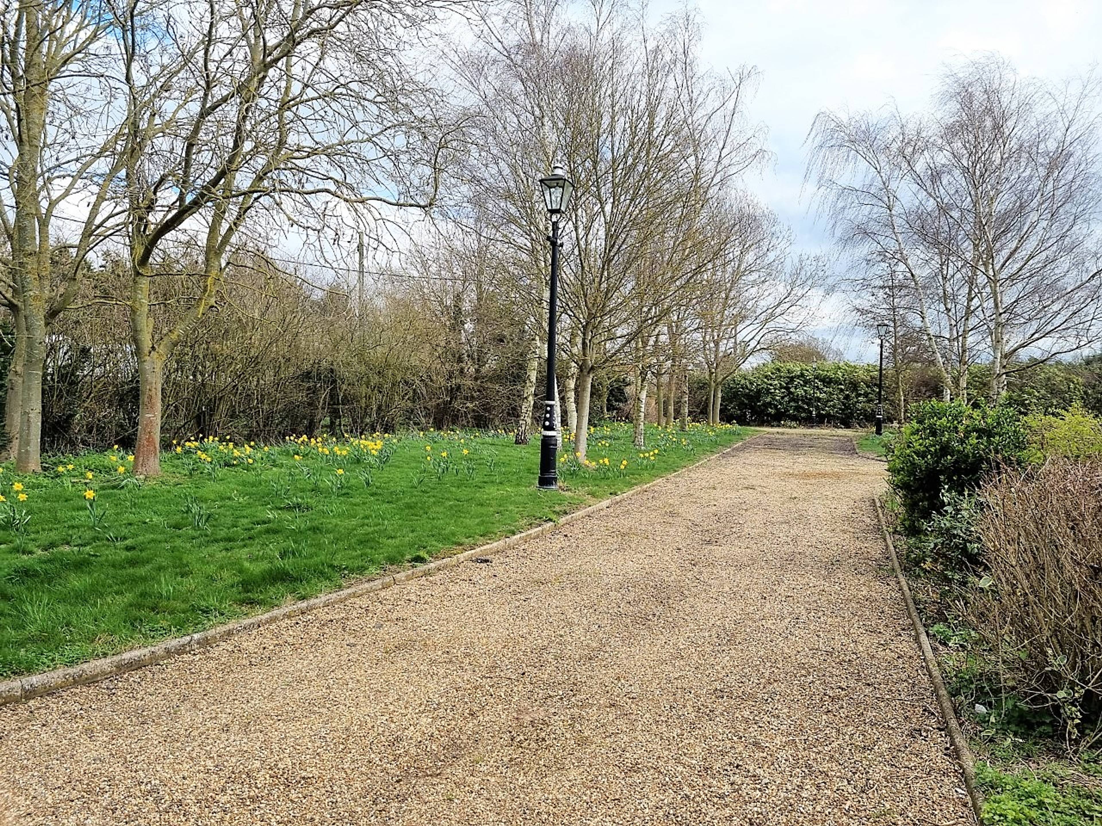 Driveway