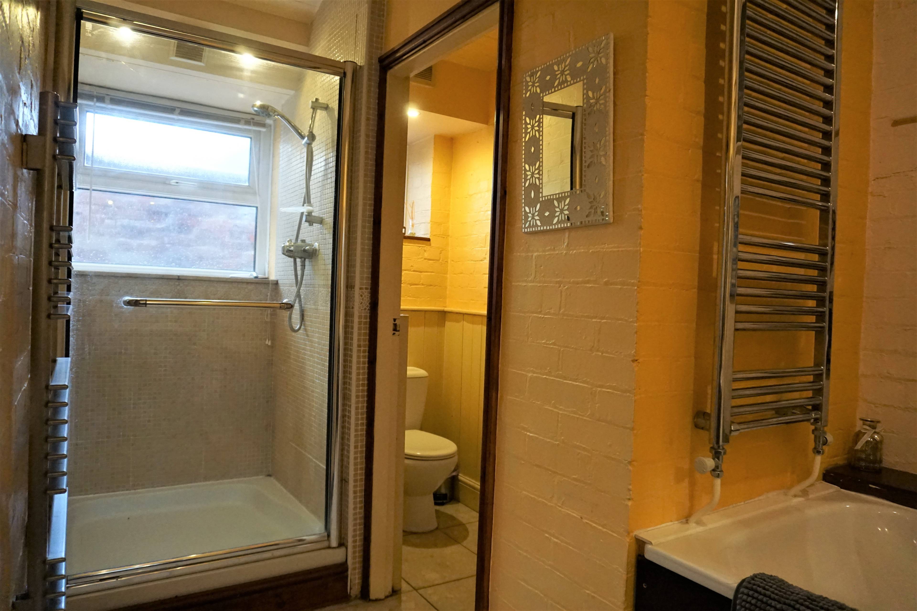 Downstairs Shower