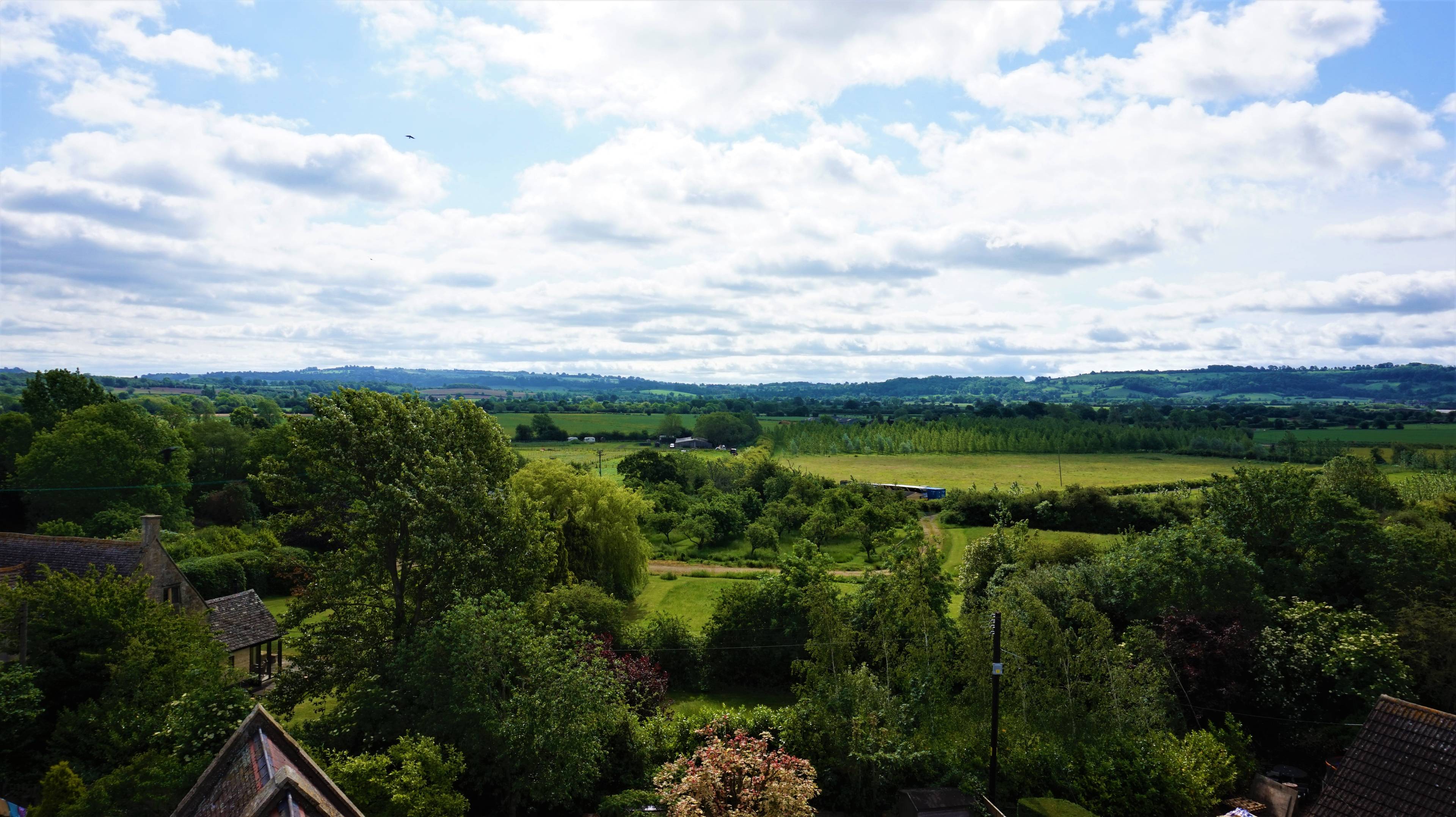 view