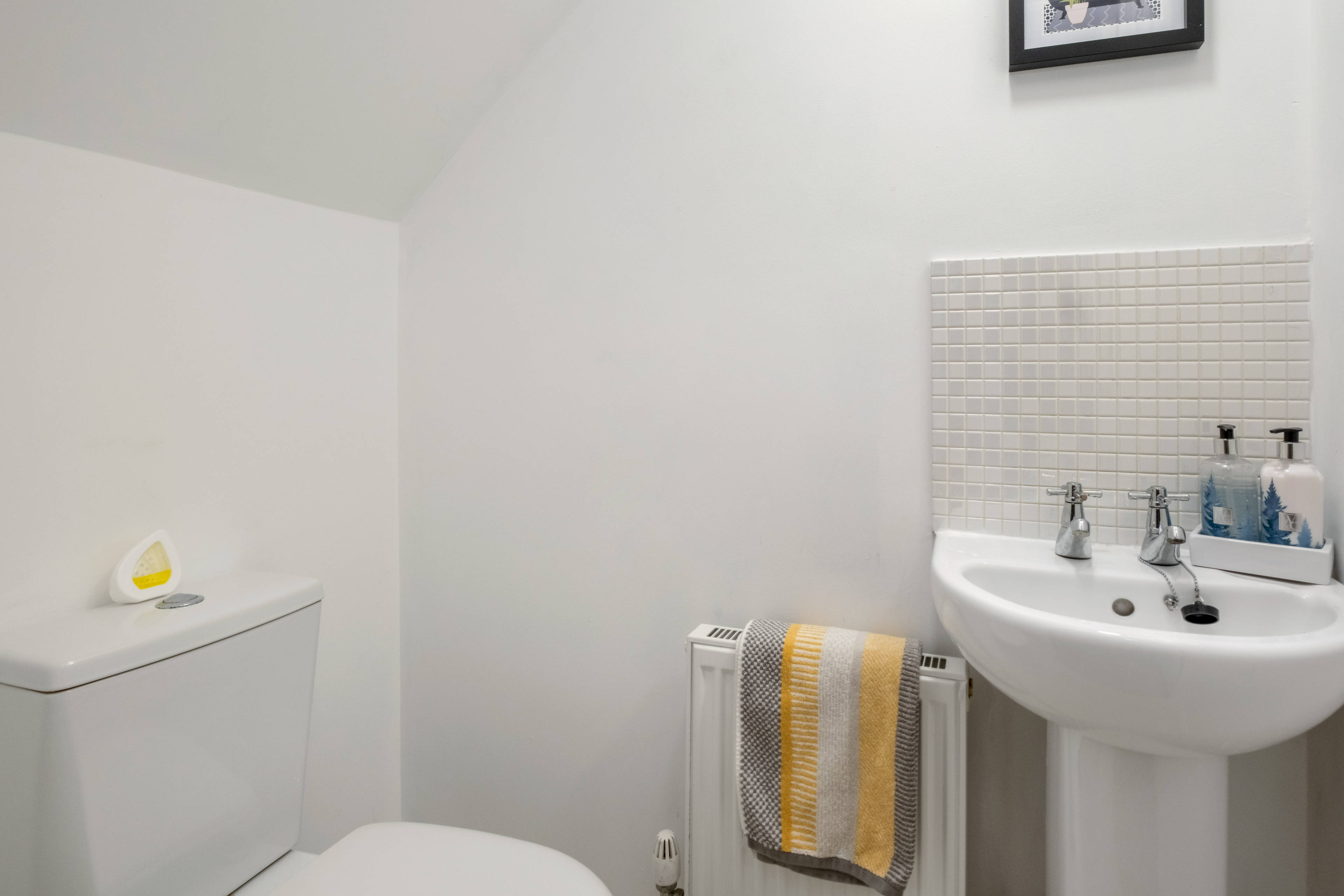 Downstairs Cloakroom