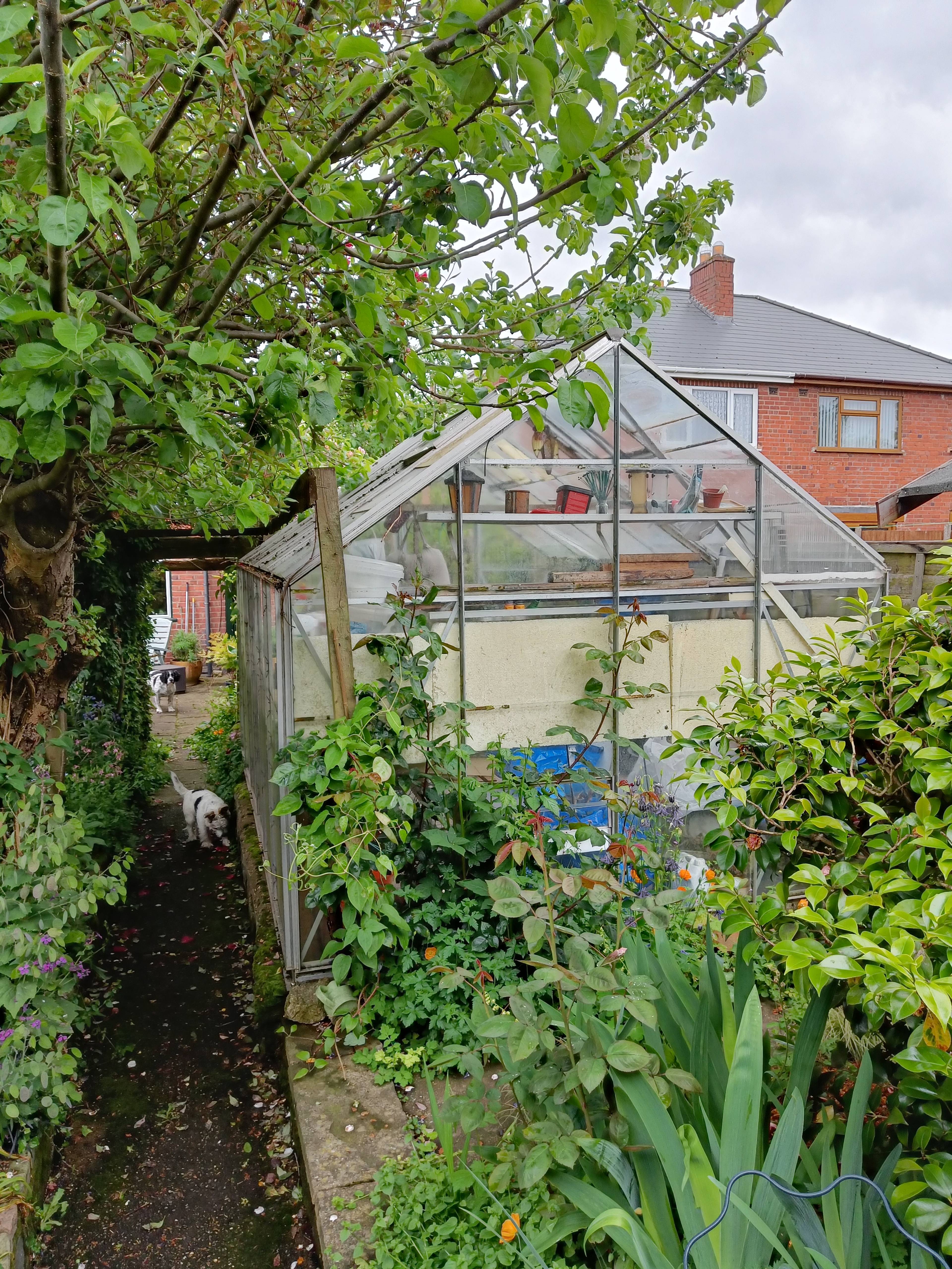 Greenhouse 