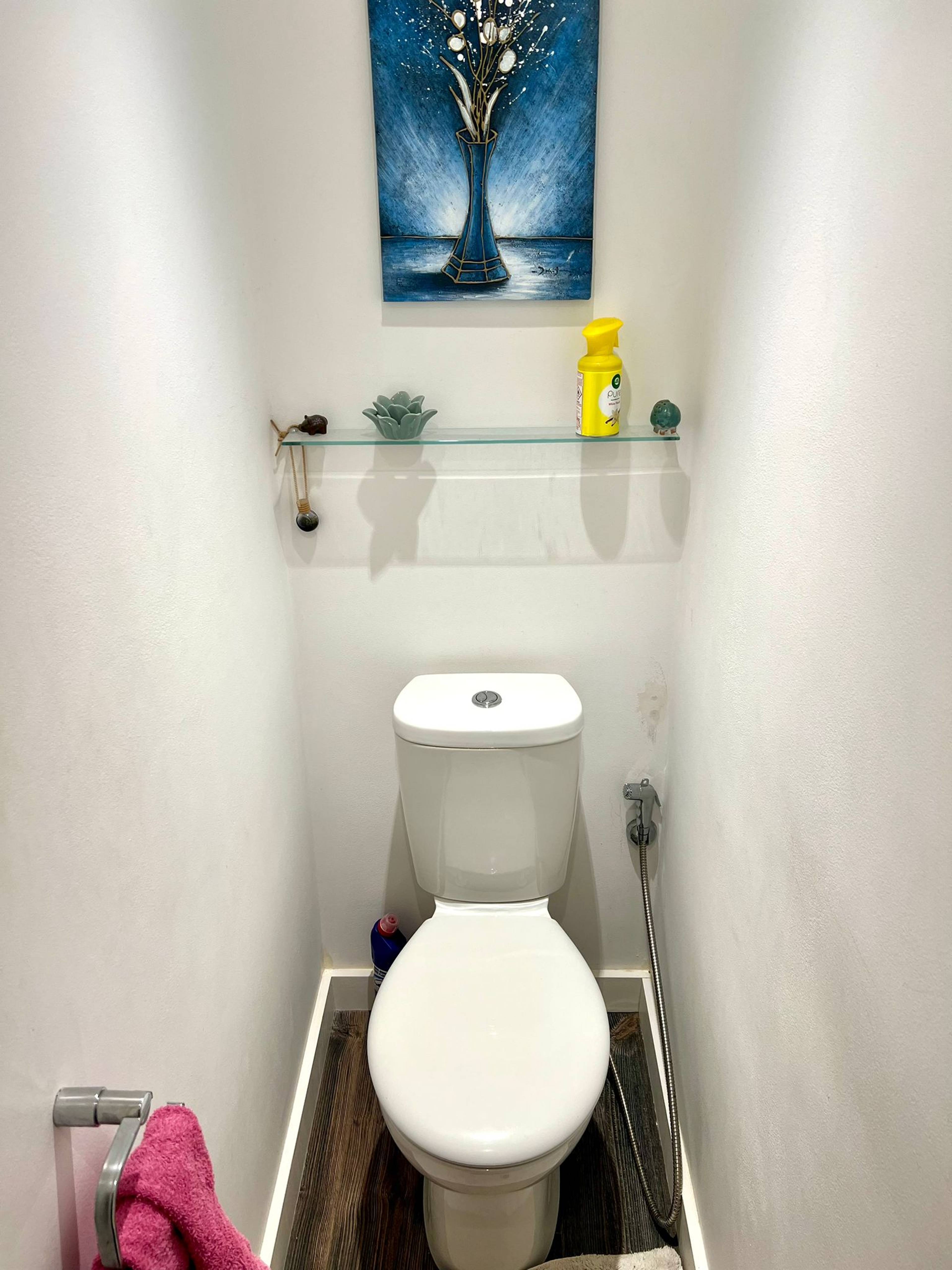 Downstairs Cloakroom