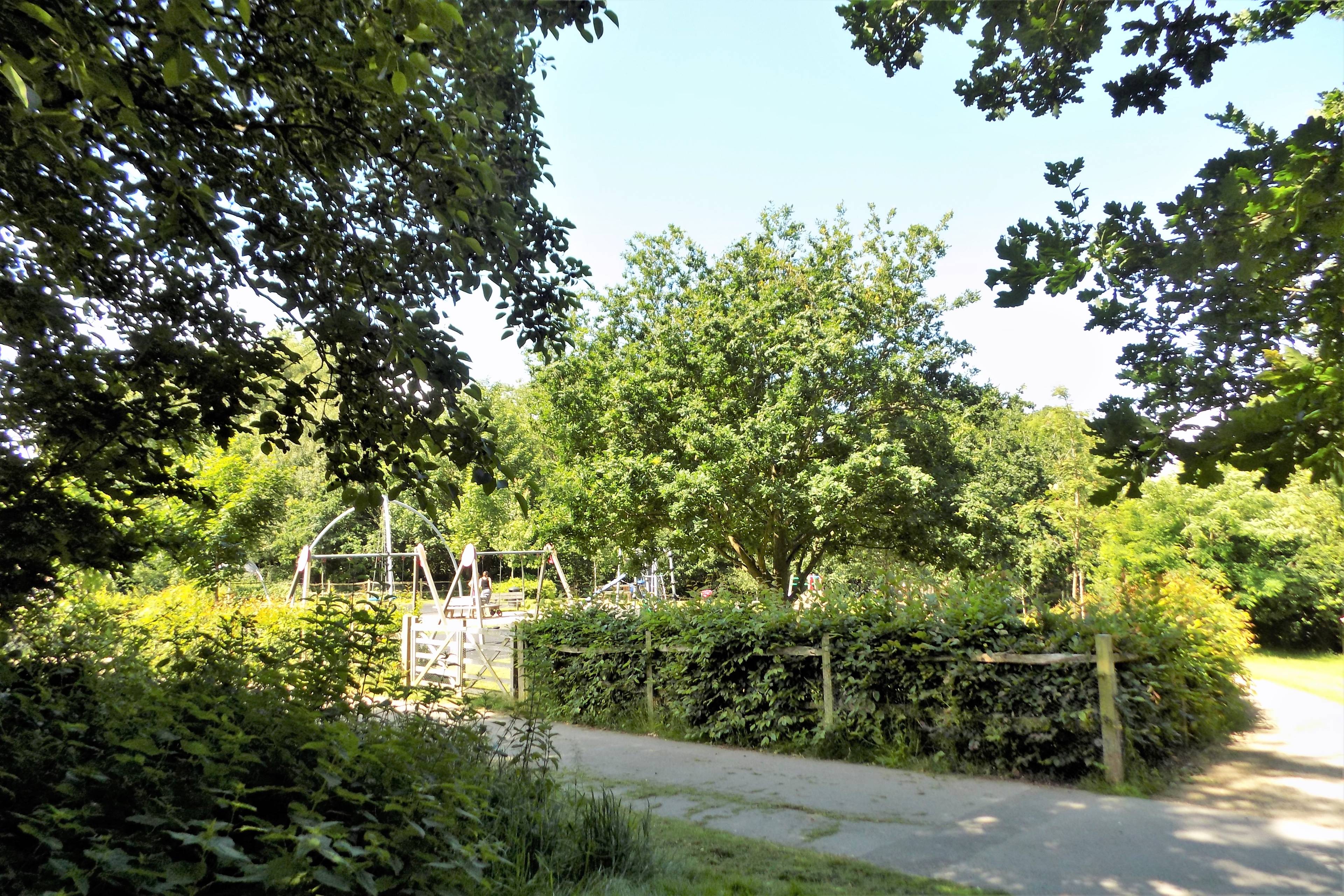 Surrounding Area