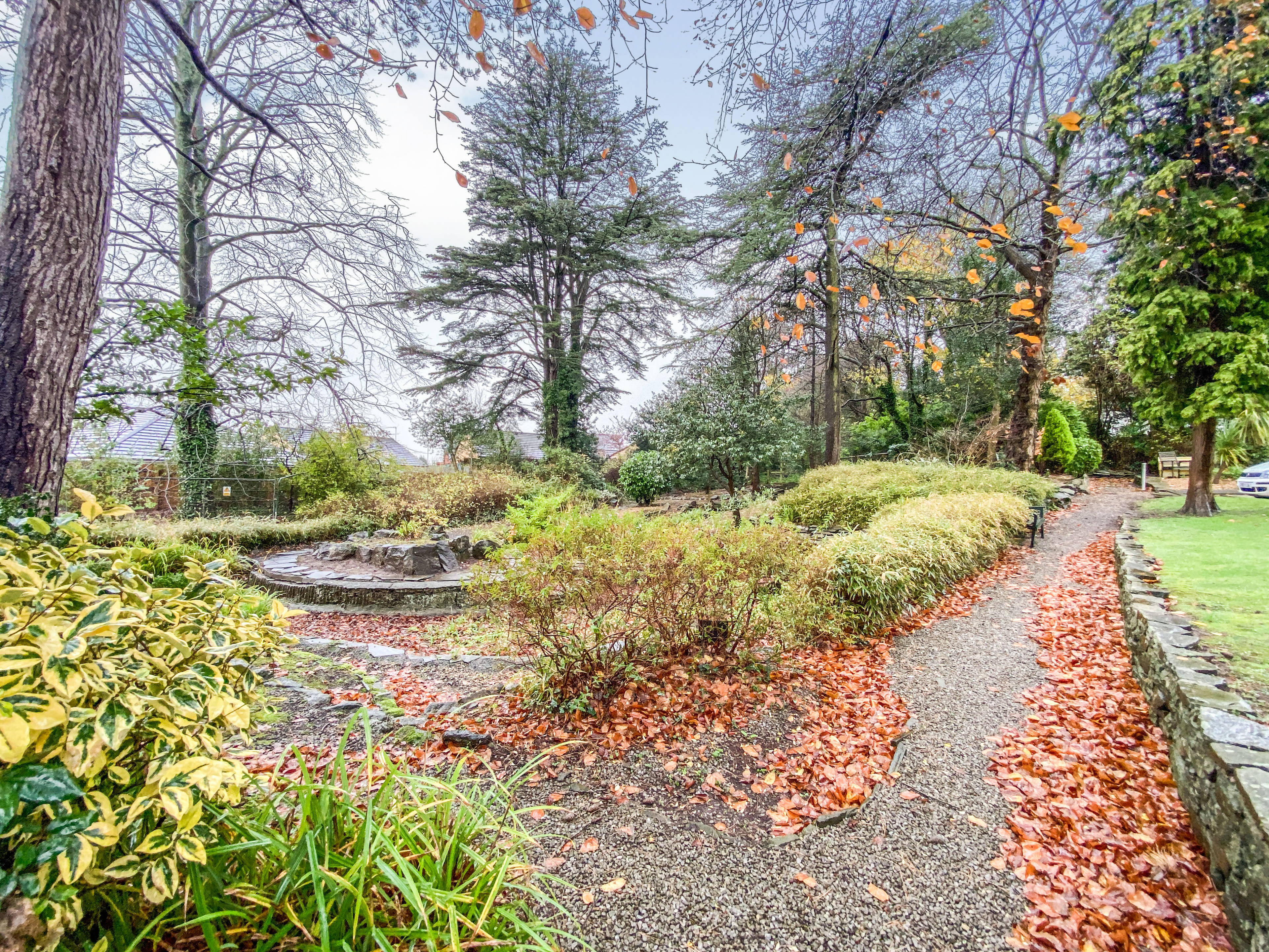 Communal Gardens